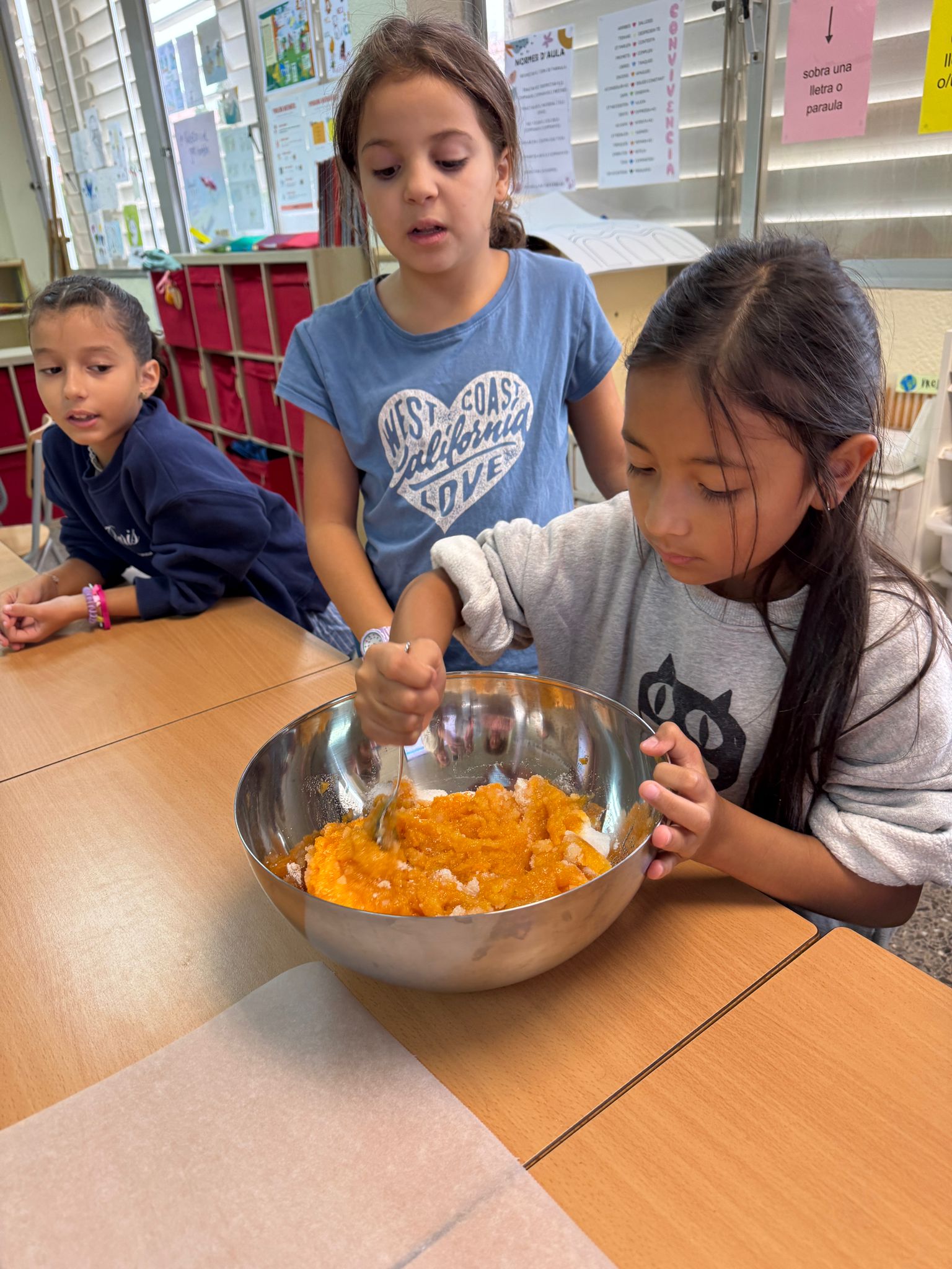 WhatsApp Image 2024-10-30 at 17.47.46