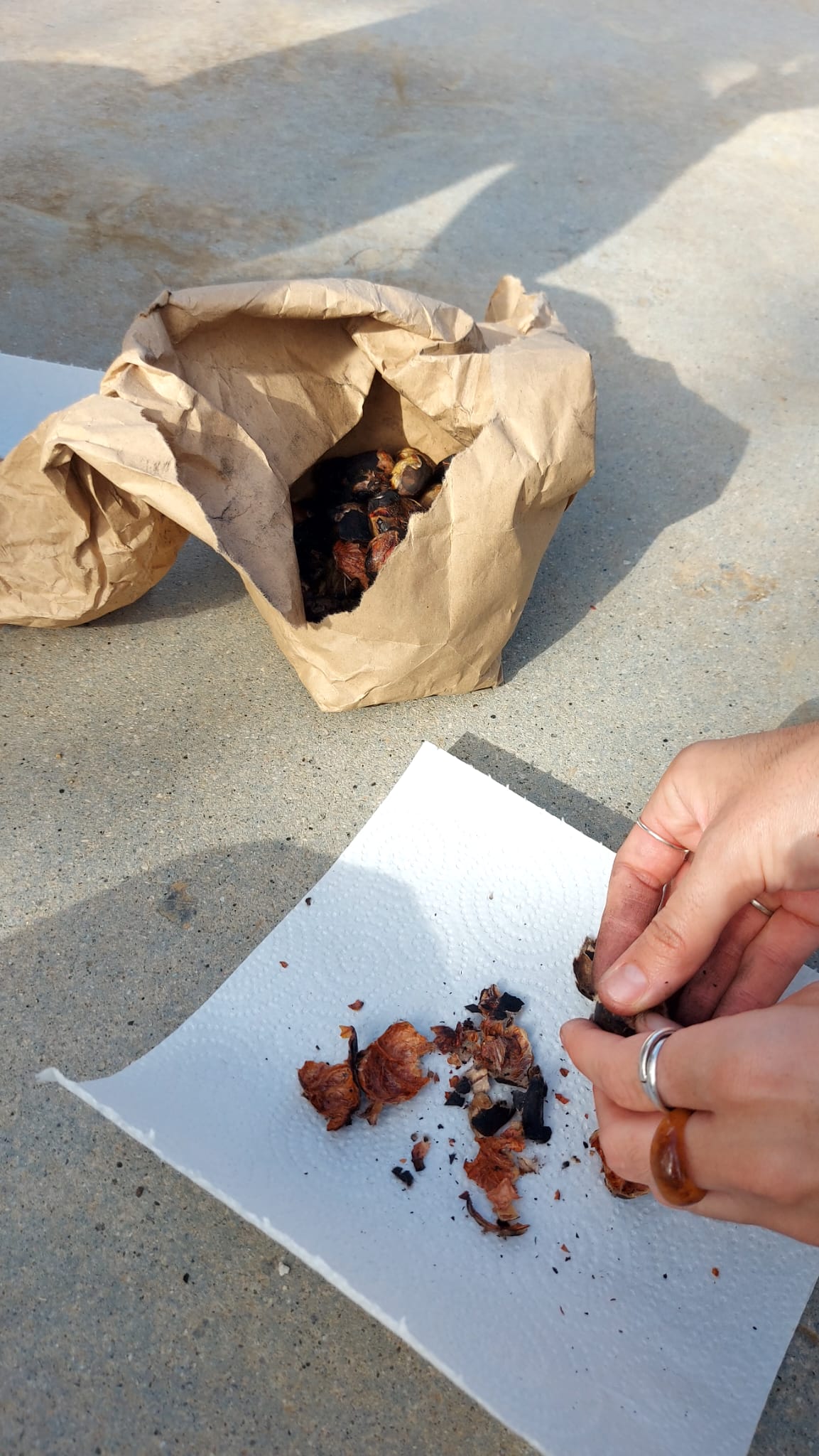 WhatsApp Image 2024-10-31 at 14.31.14