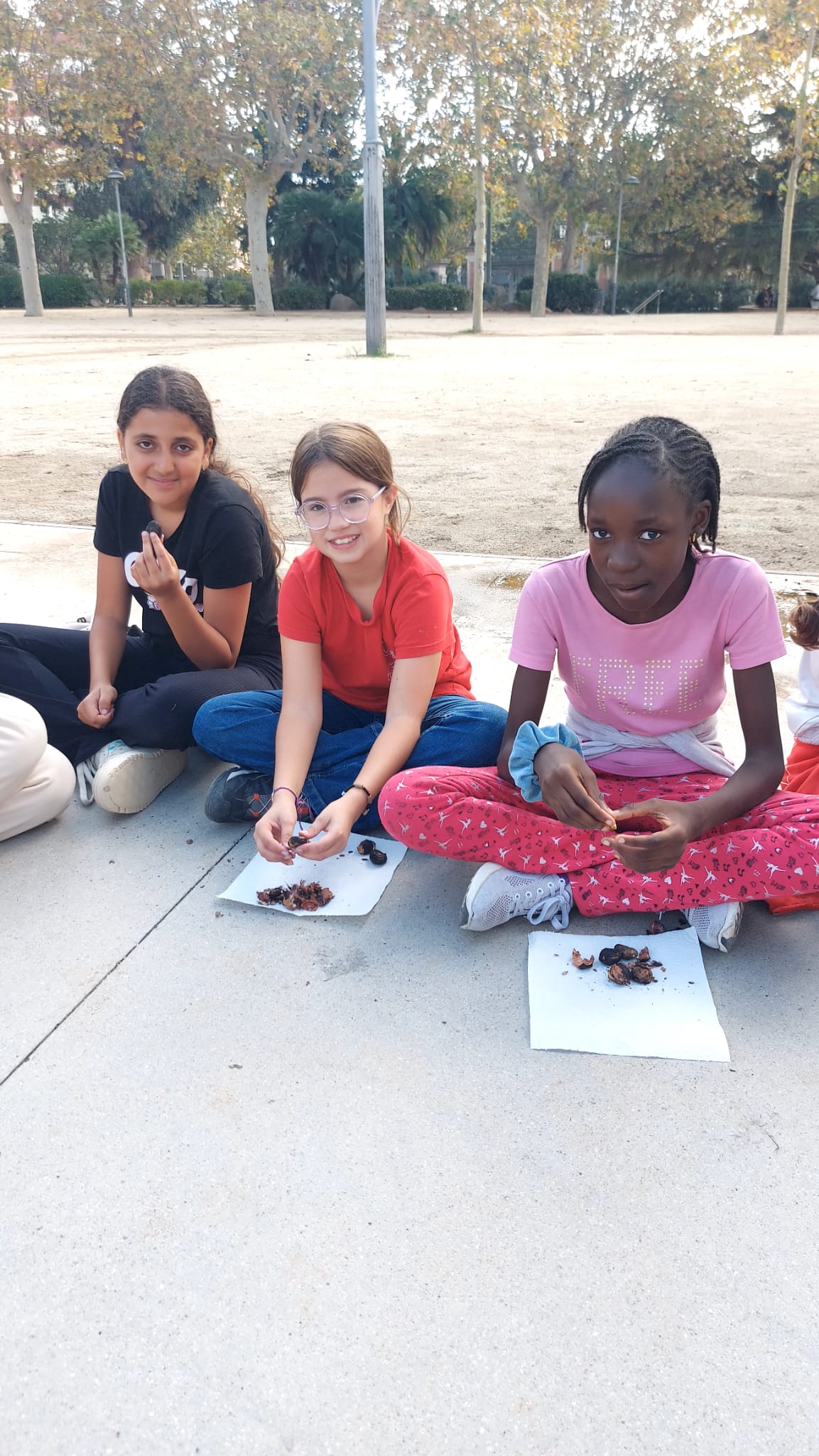 WhatsApp Image 2024-10-31 at 14.31.17 (1)