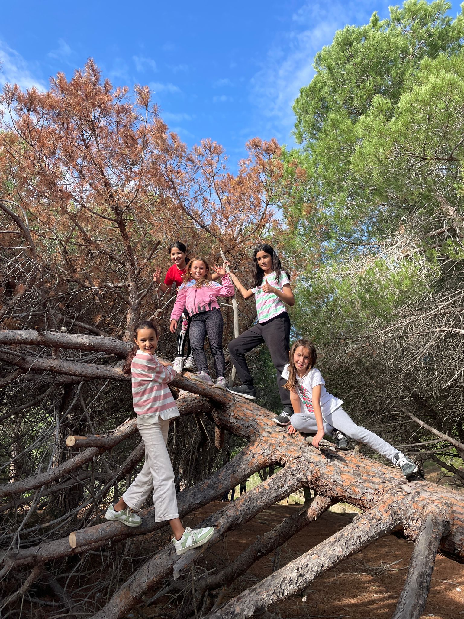 WhatsApp Image 2024-10-31 at 18.53.35 (1)