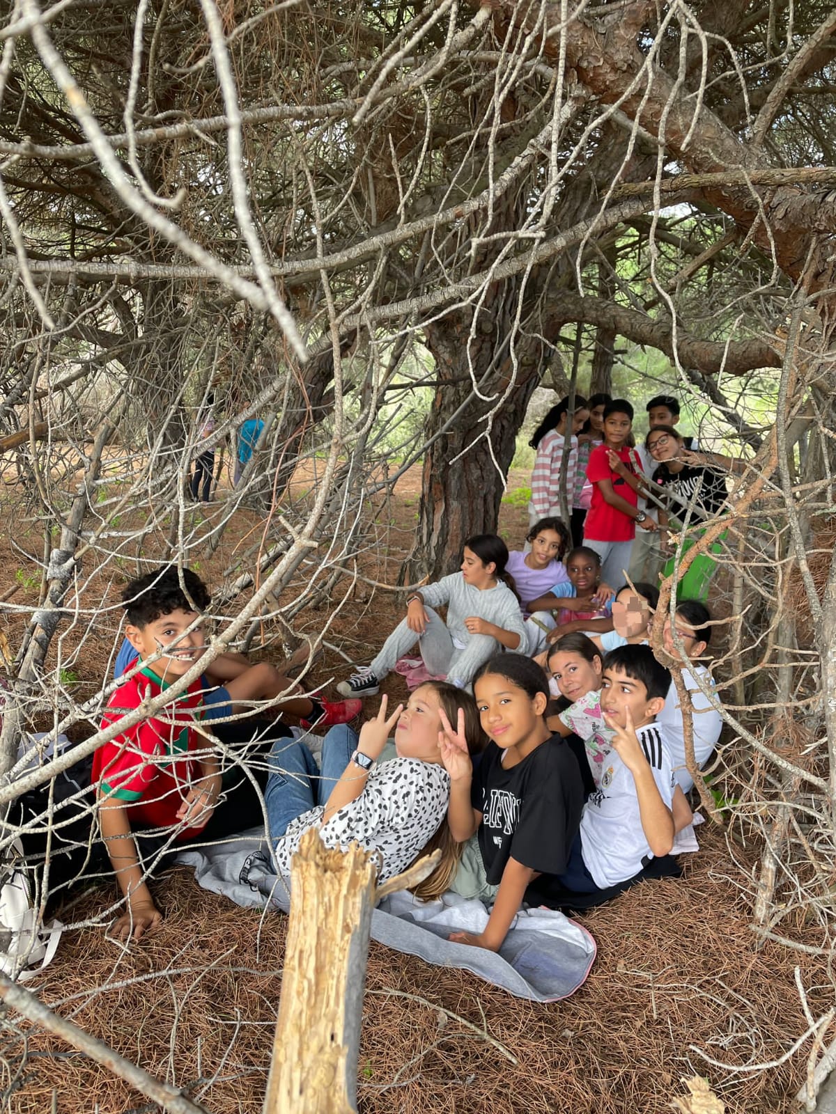 WhatsApp Image 2024-10-31 at 18.53.35 (2)