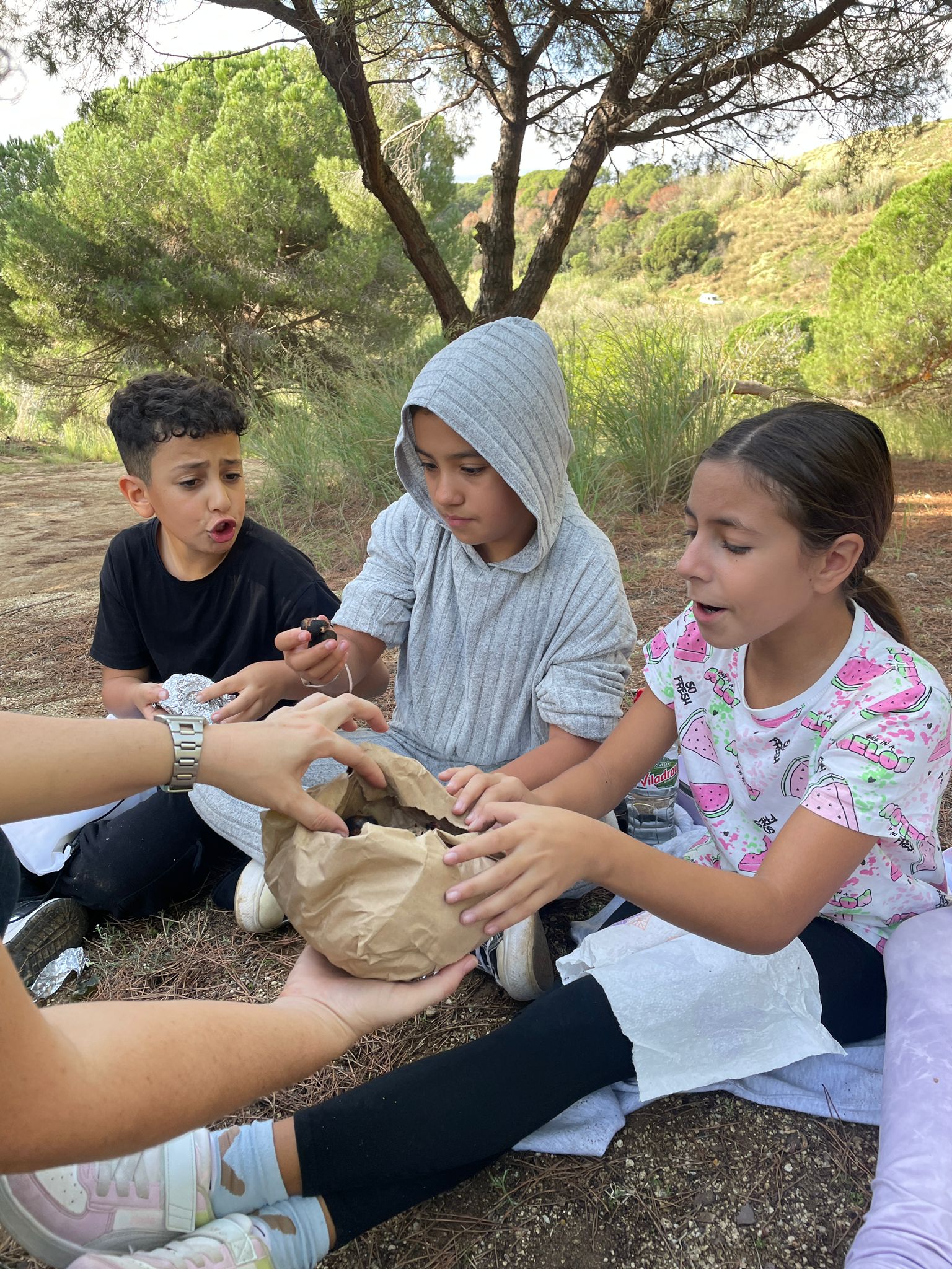 WhatsApp Image 2024-10-31 at 18.53.35