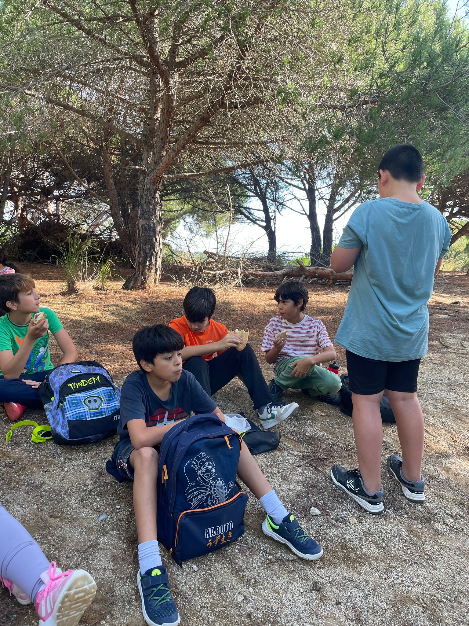 WhatsApp Image 2024-10-31 at 18.53.36 (1)