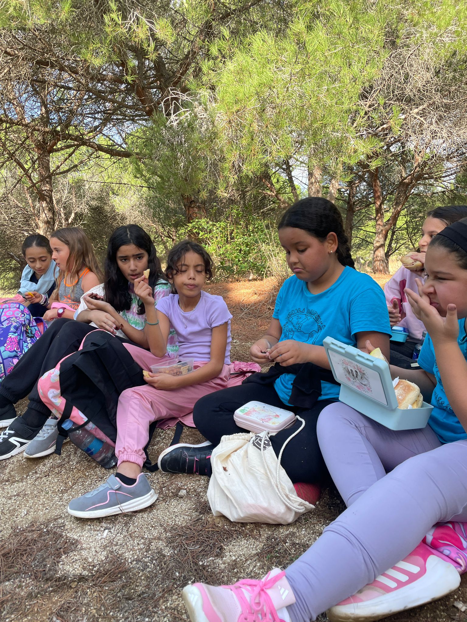 WhatsApp Image 2024-10-31 at 18.53.36