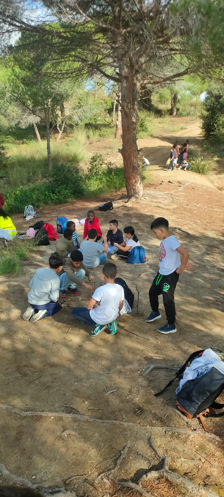 WhatsApp Image 2024-10-31 at 19.59.09