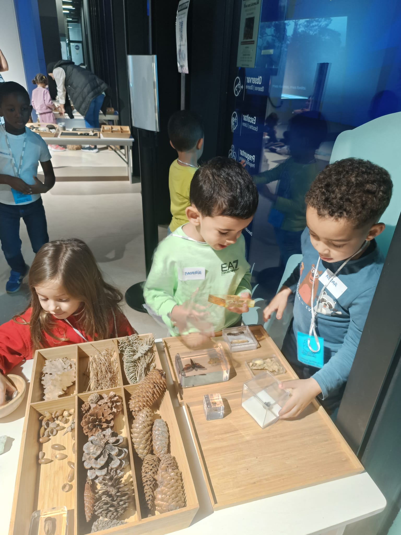 WhatsApp Image 2024-11-06 at 20.31.19 (1)