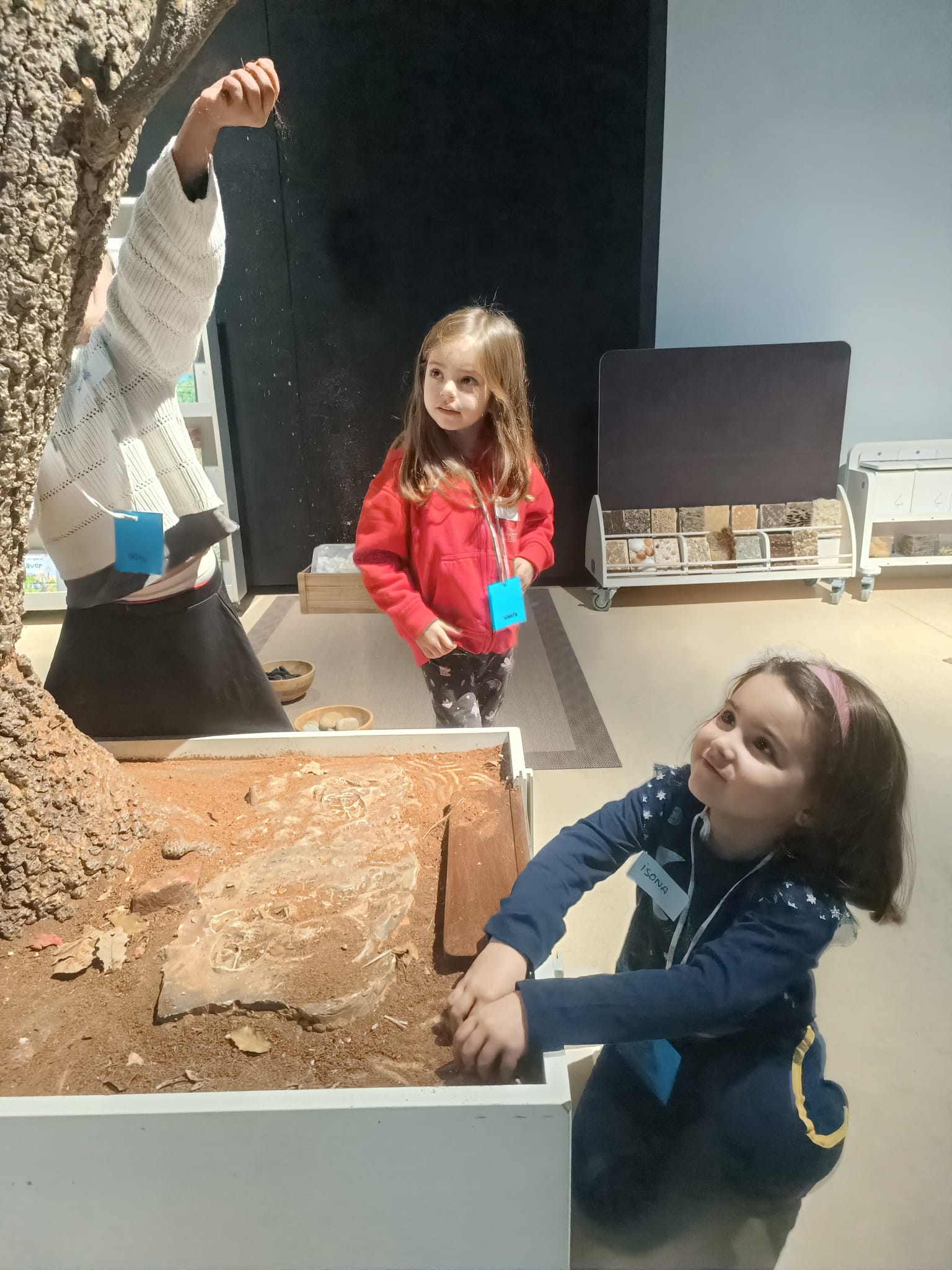 WhatsApp Image 2024-11-06 at 20.31.19