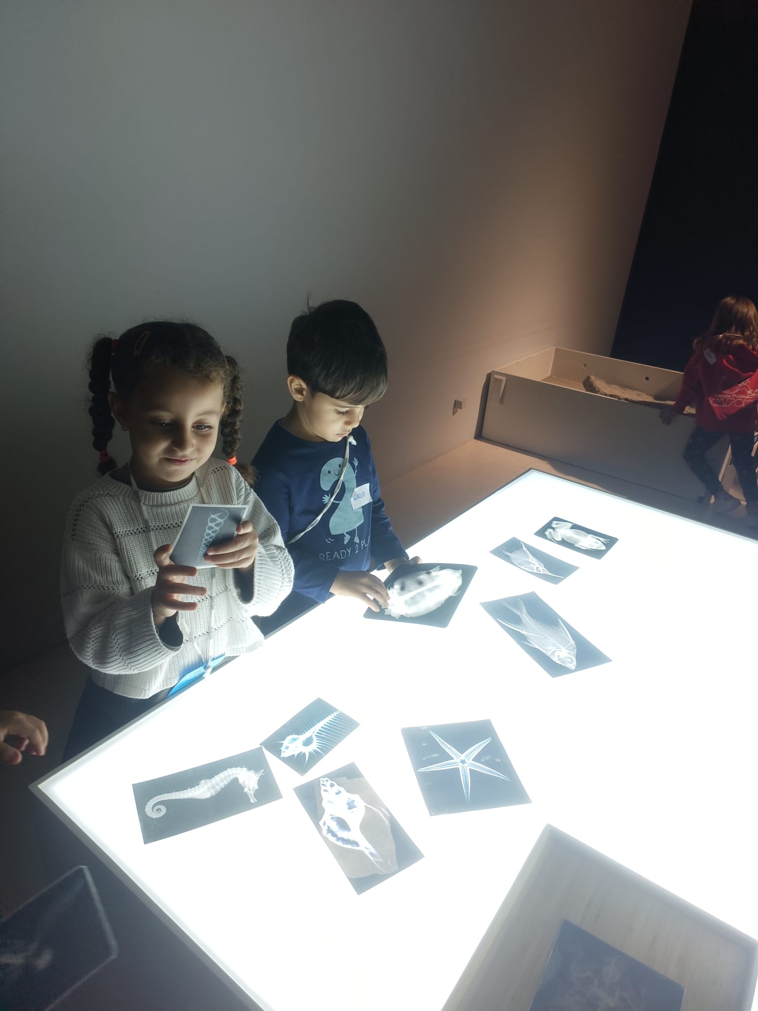 WhatsApp Image 2024-11-06 at 20.31.20