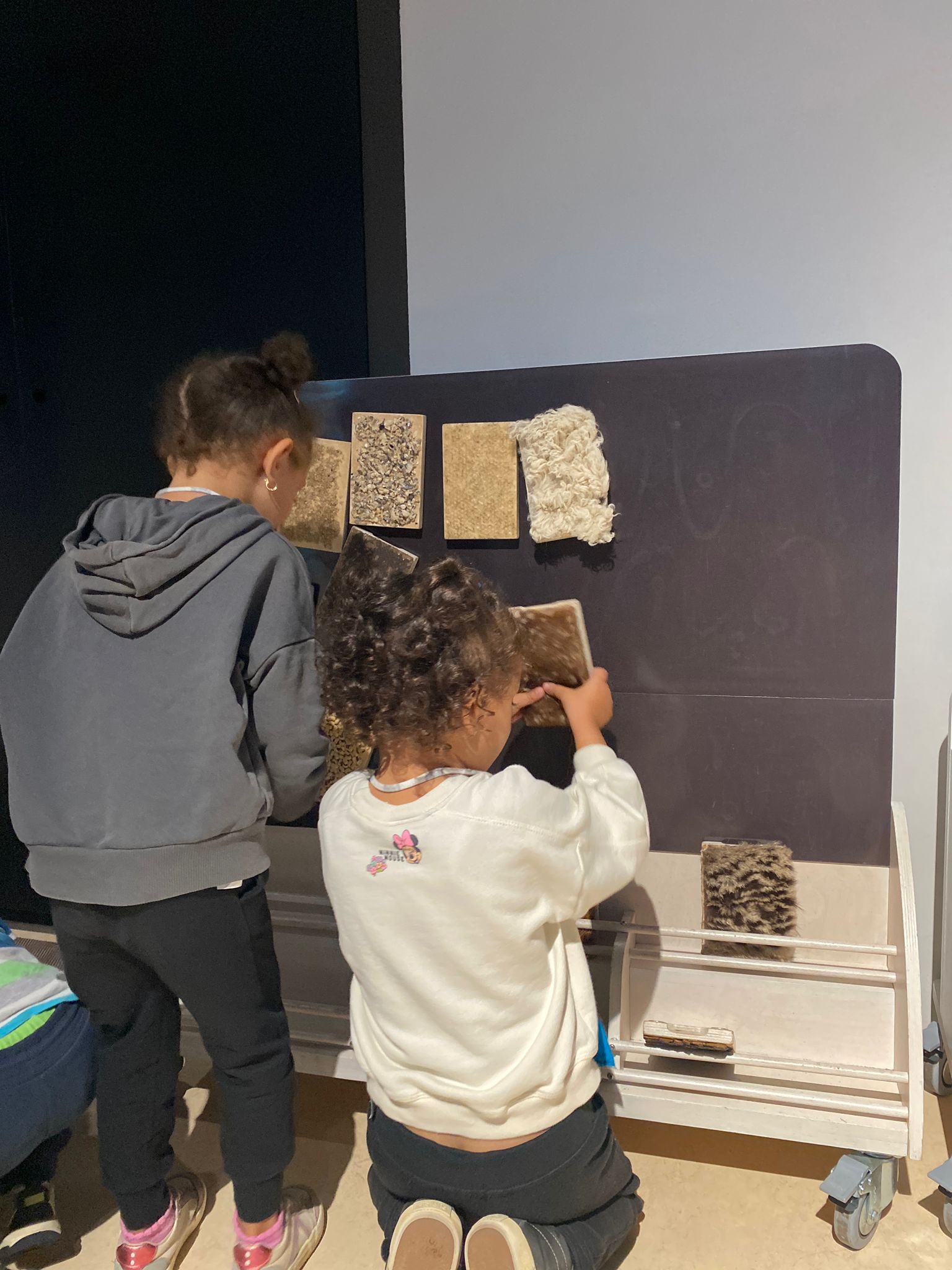 WhatsApp Image 2024-11-06 at 20.31.53