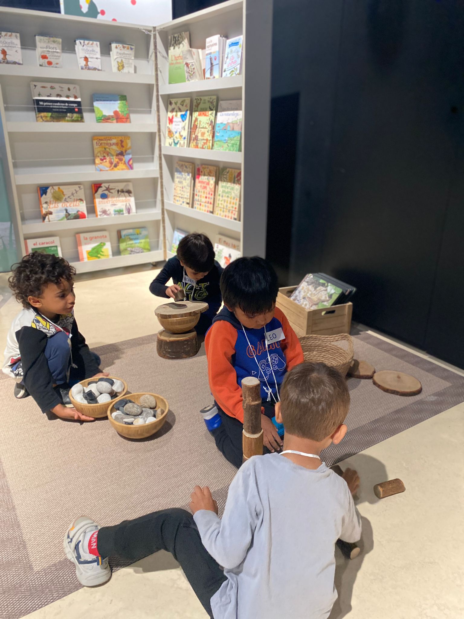 WhatsApp Image 2024-11-06 at 20.31.54