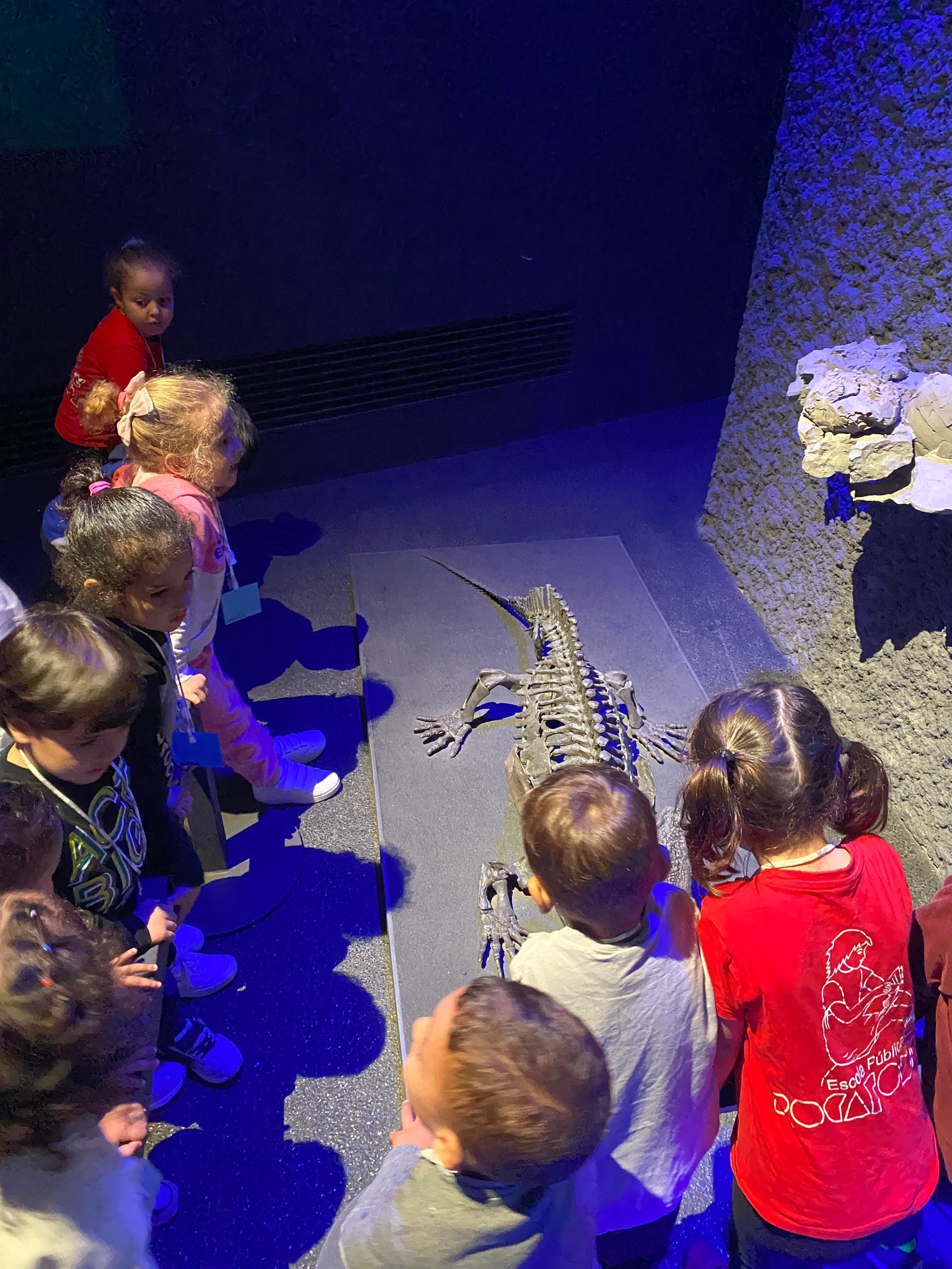 WhatsApp Image 2024-11-06 at 20.31.55