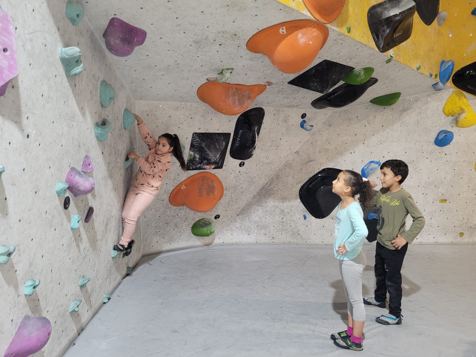 WhatsApp Image 2024-11-11 at 20.09.42