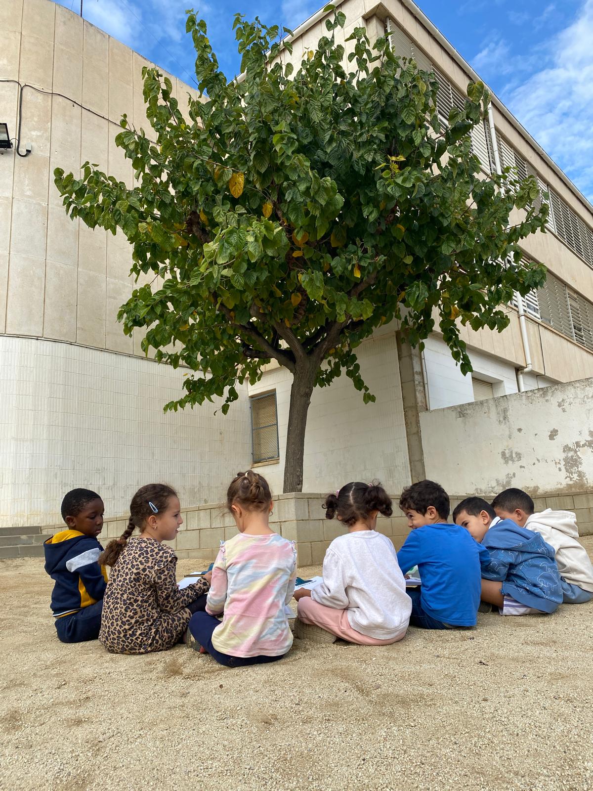 WhatsApp Image 2024-11-14 at 08.32.41 (1)