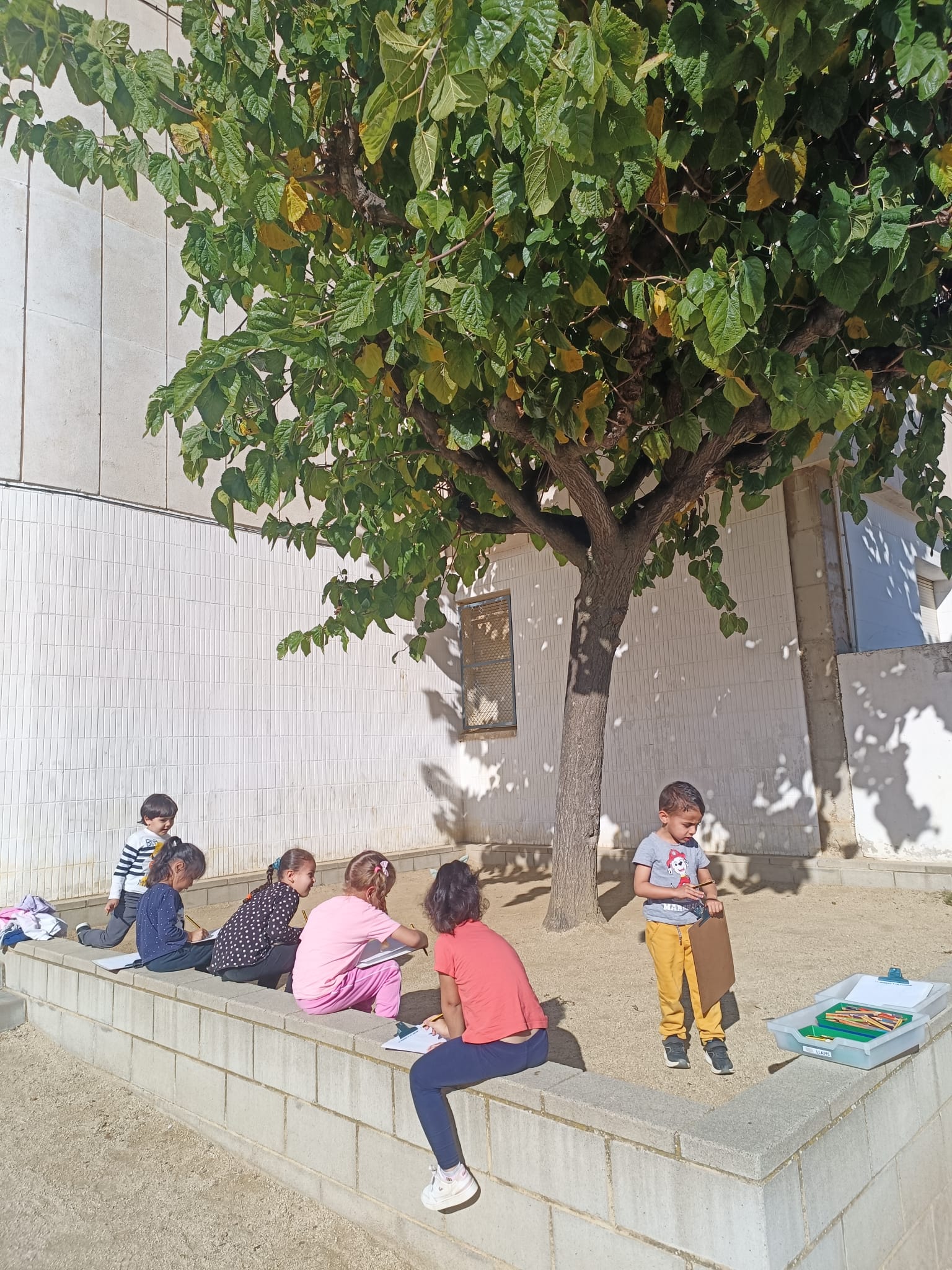 WhatsApp Image 2024-11-14 at 08.32.41