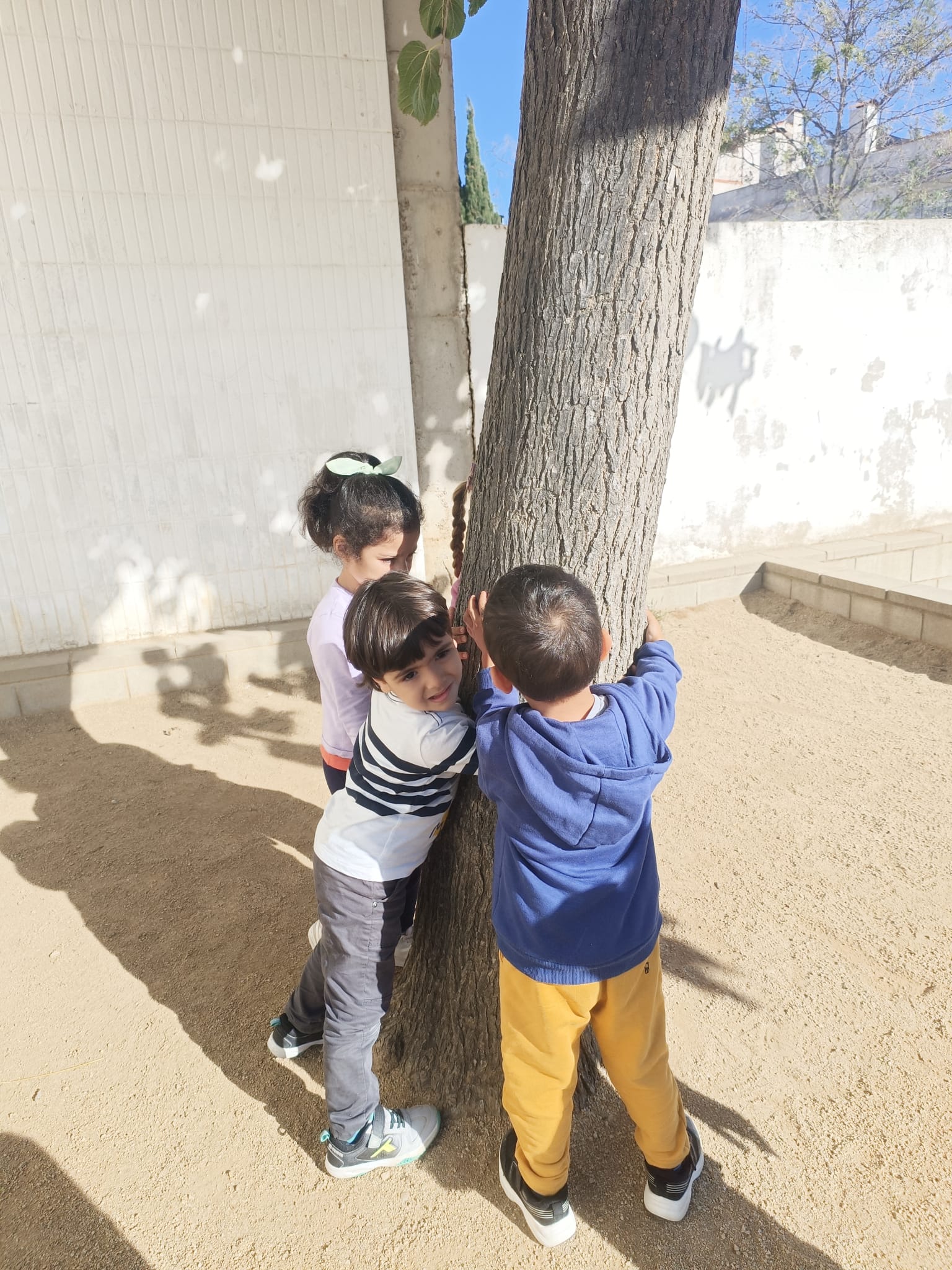 WhatsApp Image 2024-11-14 at 08.32.42 (1)