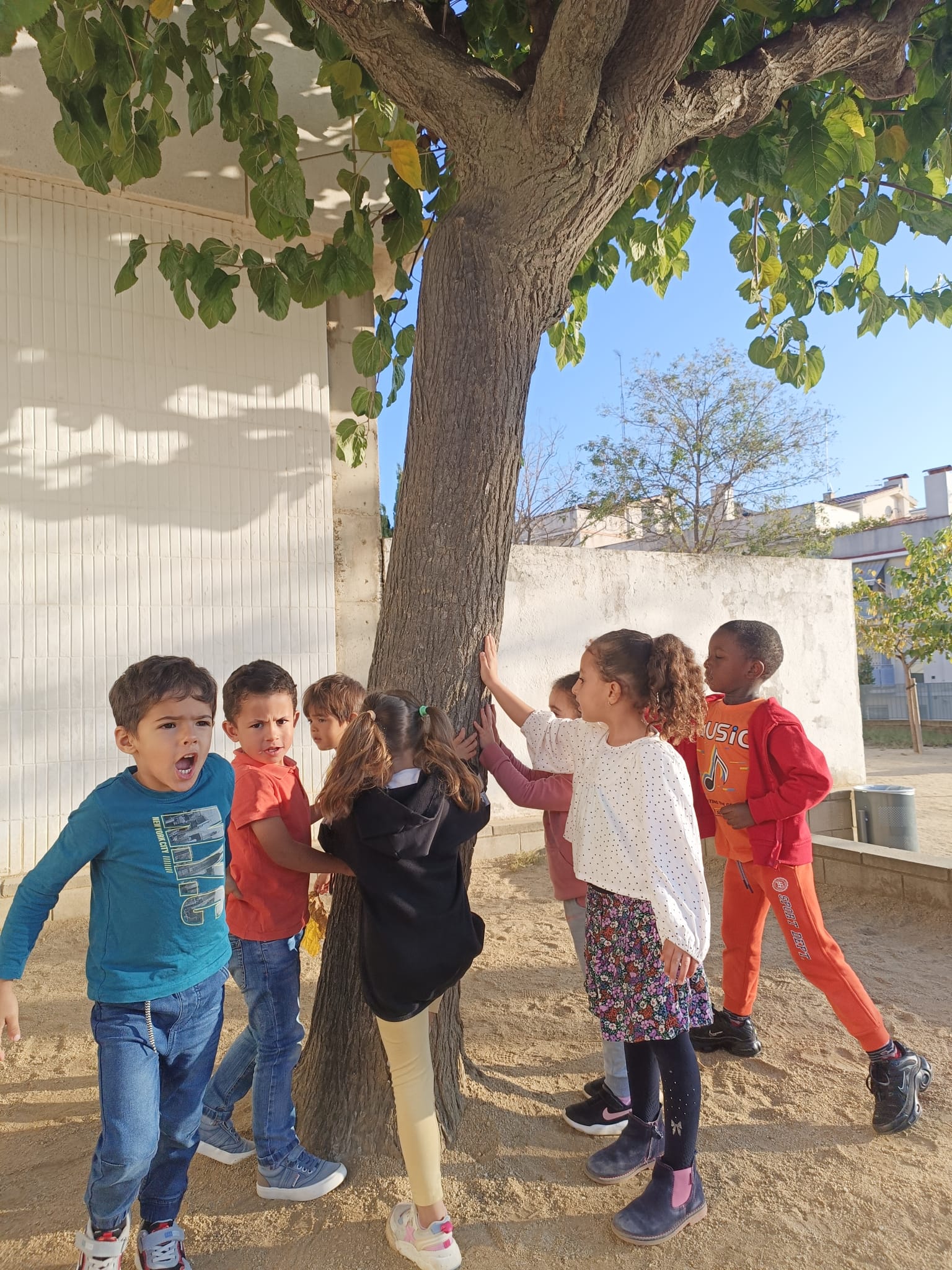 WhatsApp Image 2024-11-14 at 08.32.42