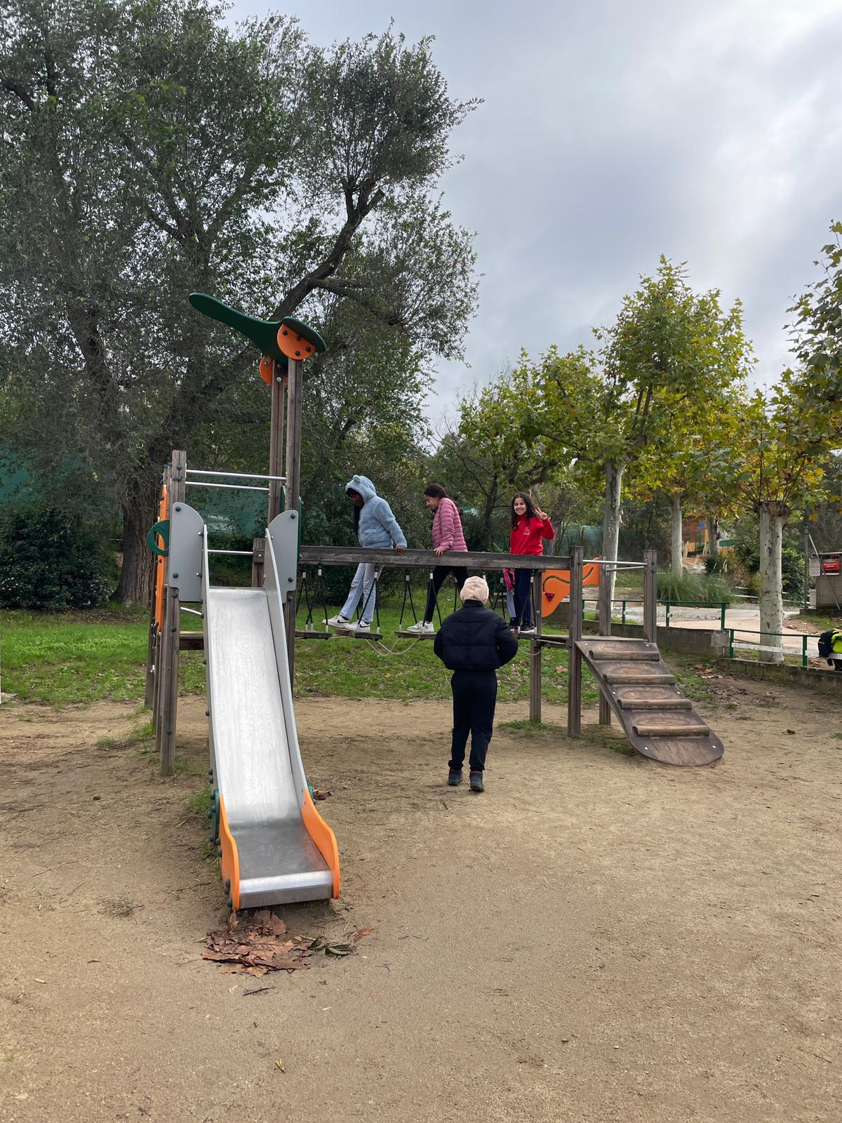 WhatsApp Image 2024-11-14 at 08.55.51