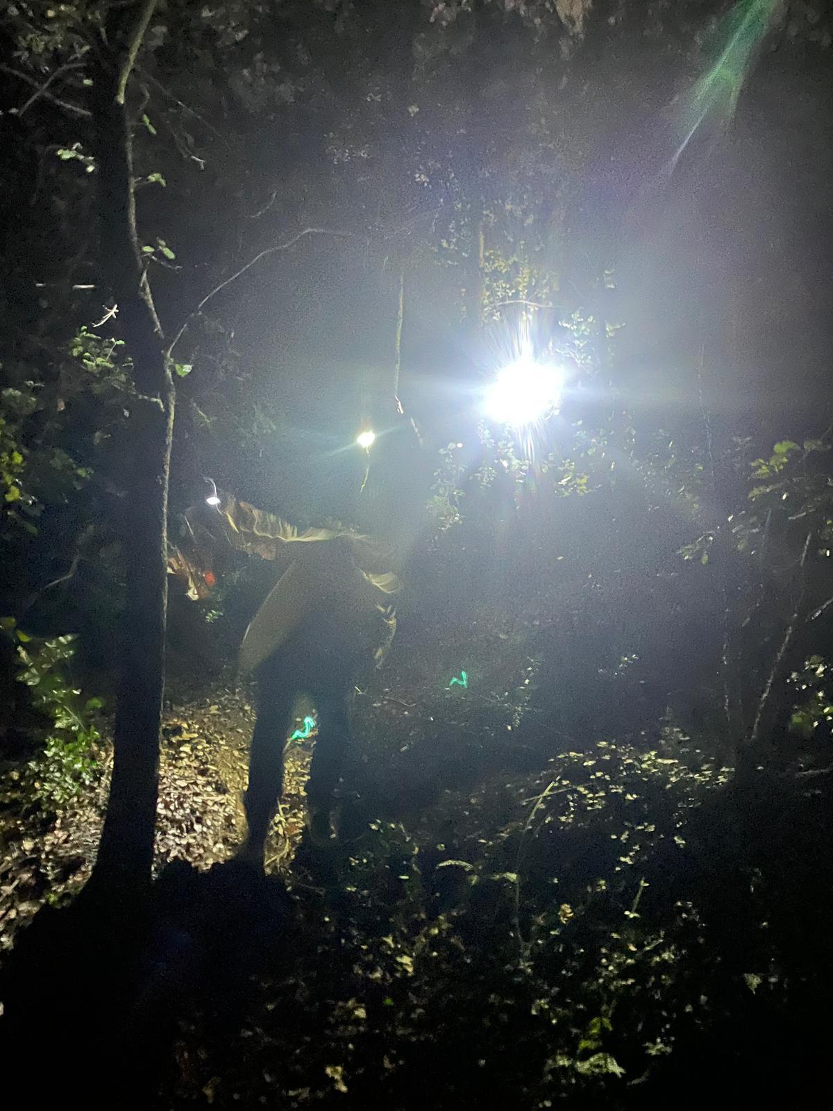 WhatsApp Image 2024-11-14 at 08.55.52 (2)