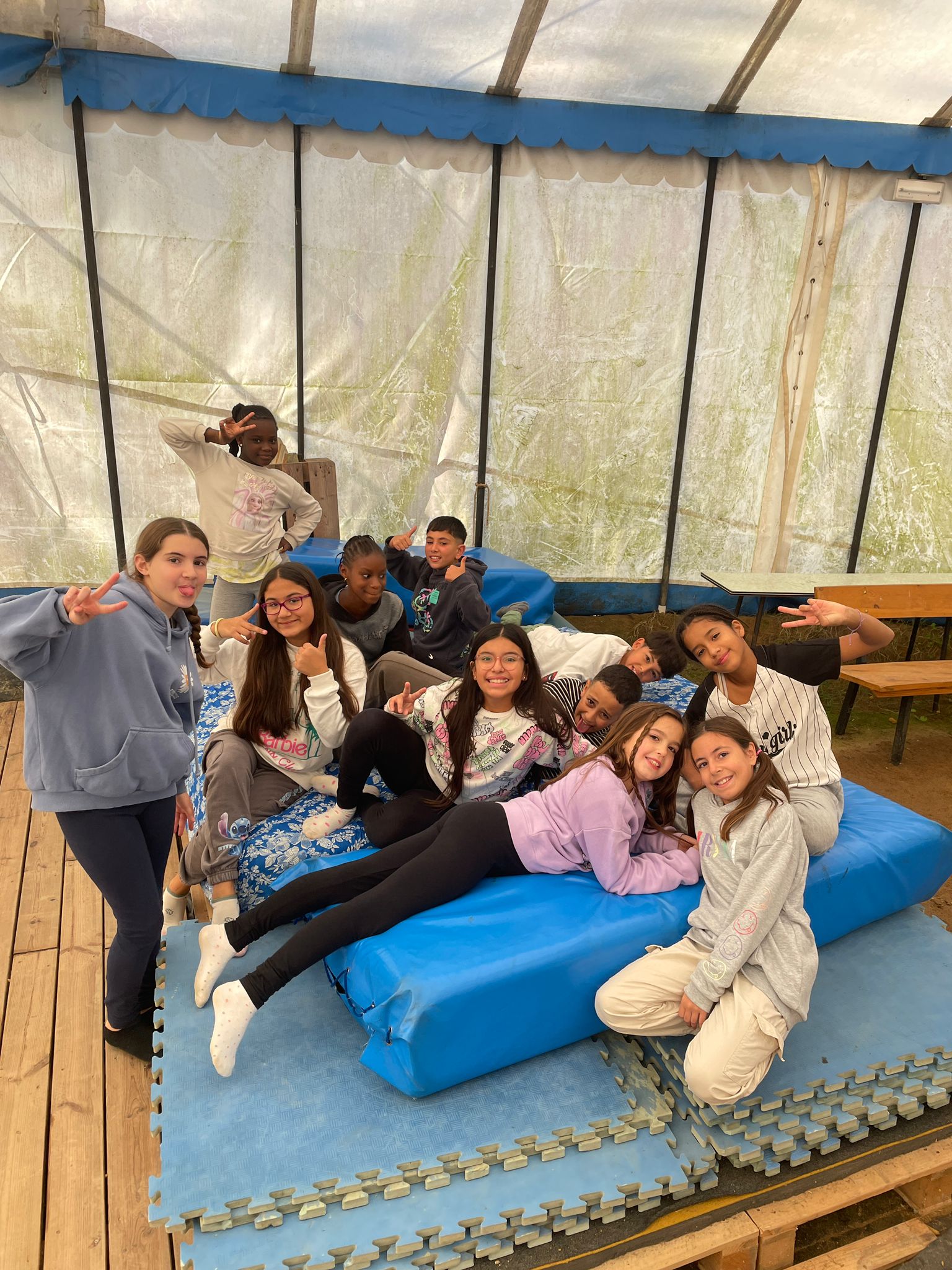 WhatsApp Image 2024-11-14 at 11.13.35