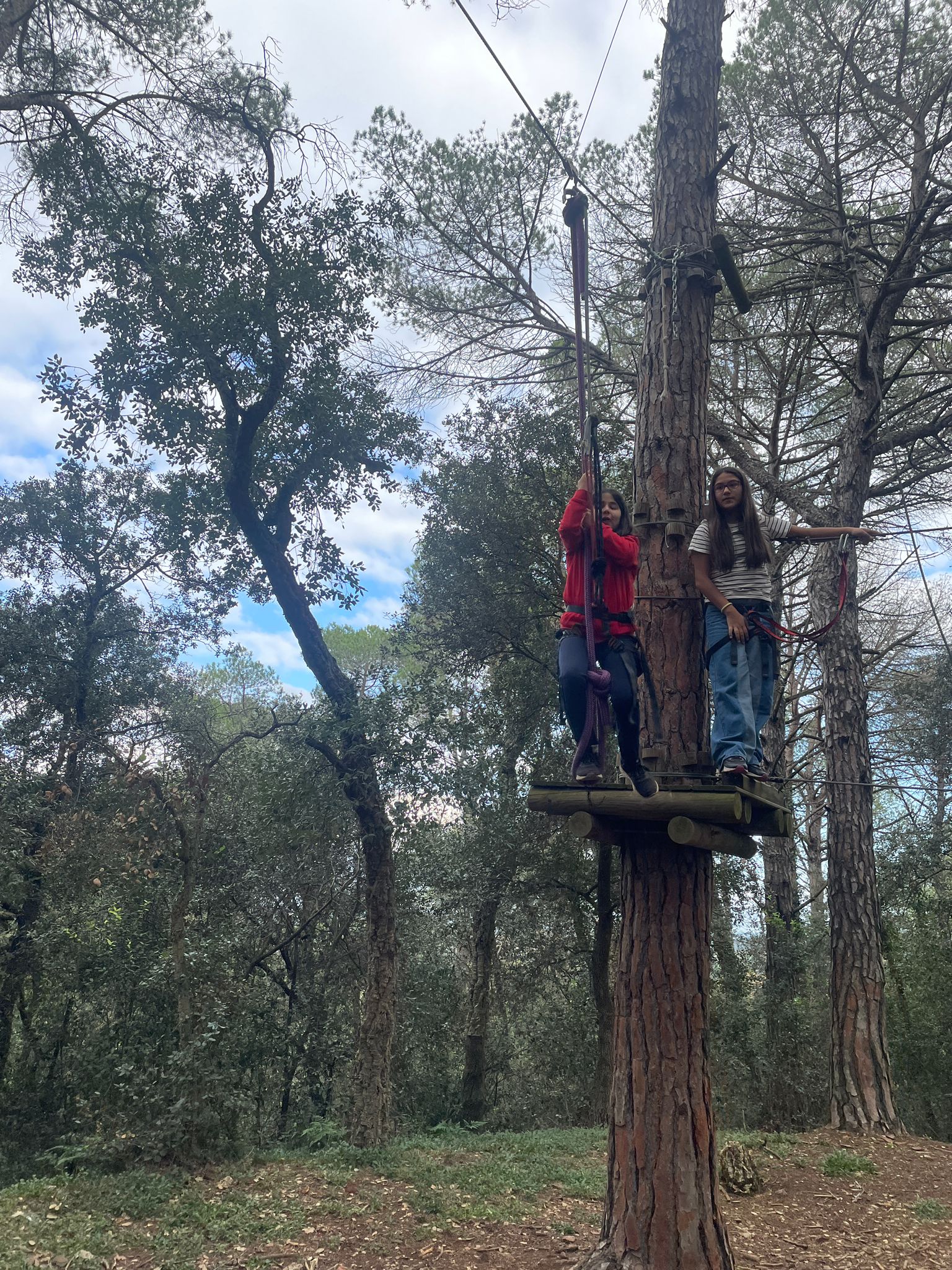 WhatsApp Image 2024-11-15 at 15.46.30