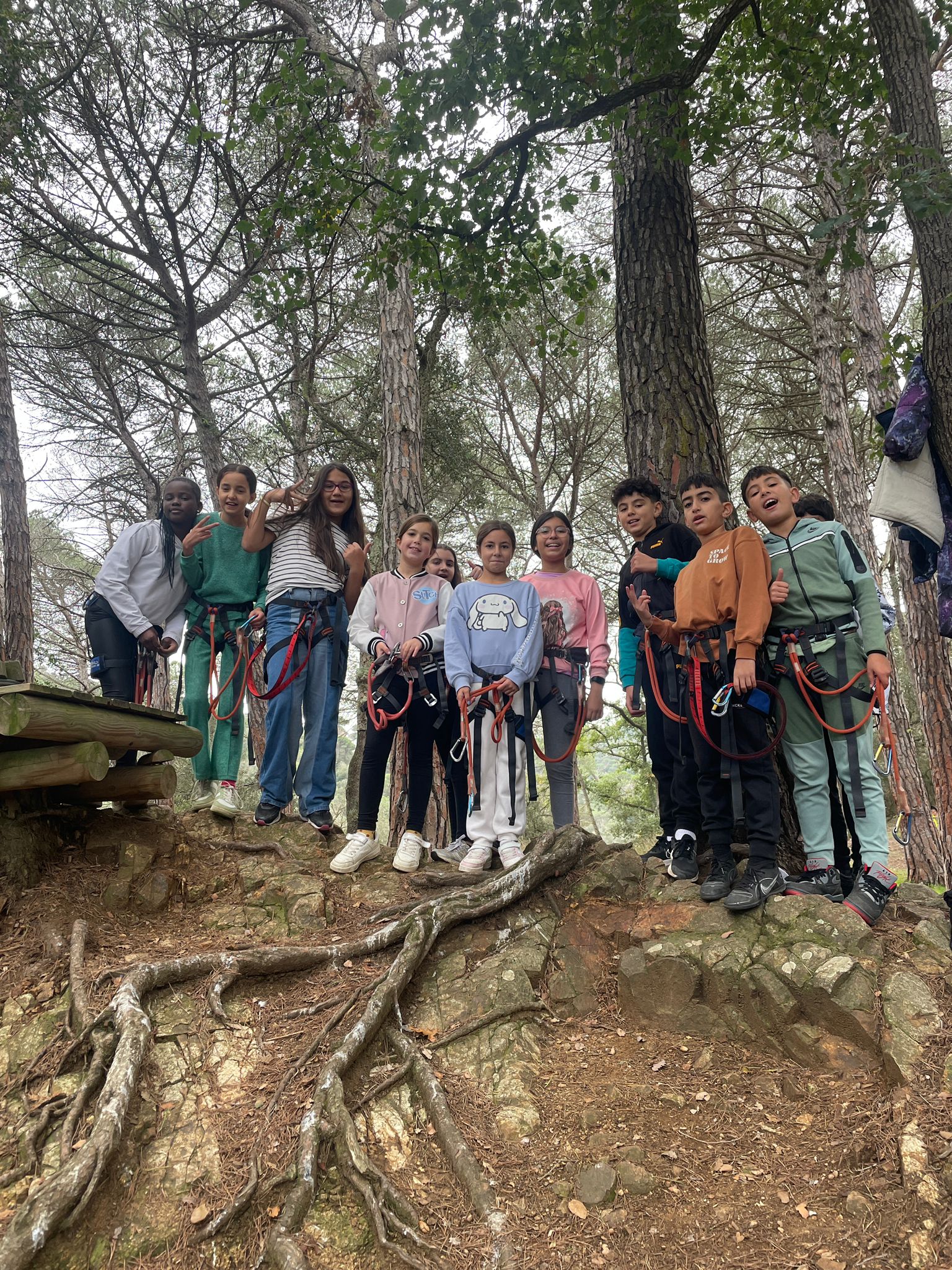 WhatsApp Image 2024-11-15 at 15.46.33