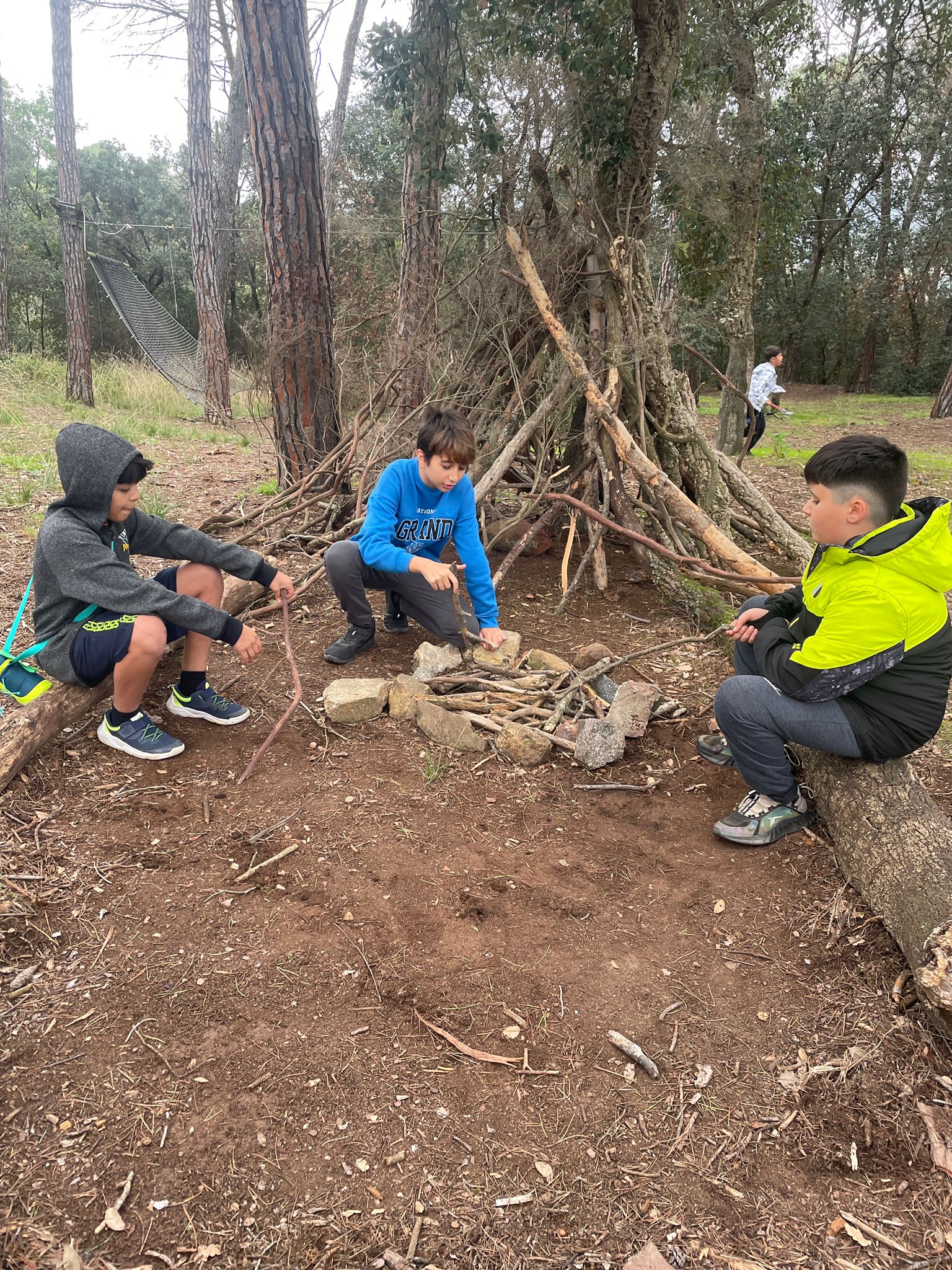 WhatsApp Image 2024-11-15 at 15.46.35