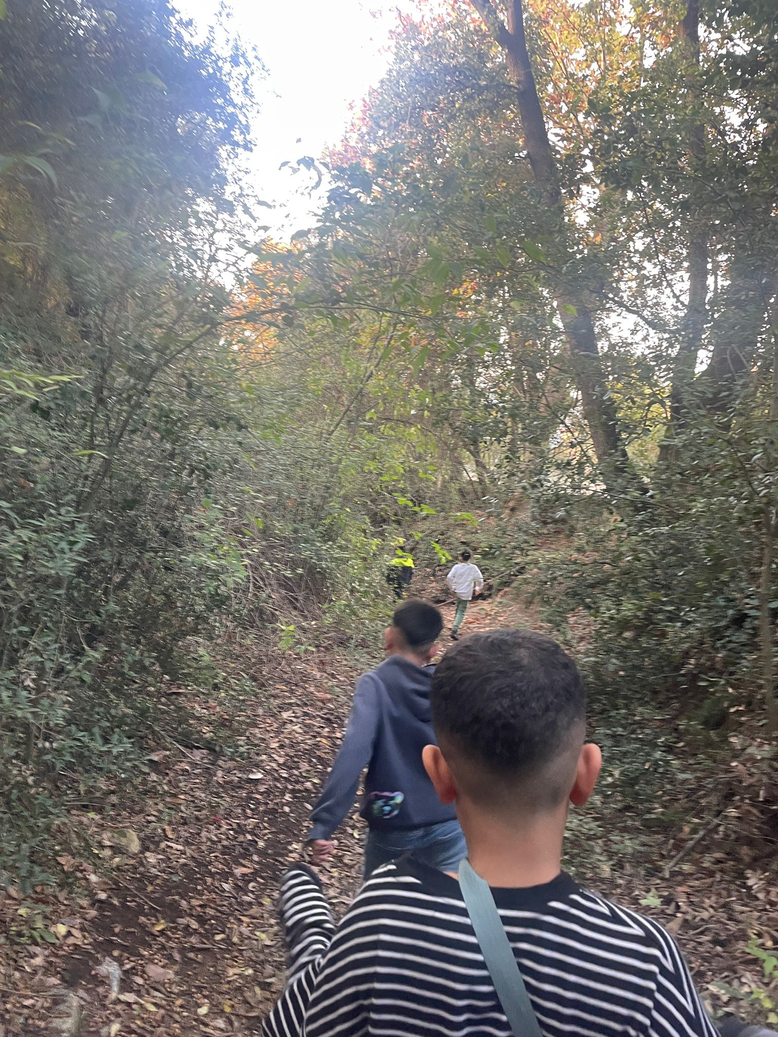 WhatsApp Image 2024-11-15 at 15.46.37