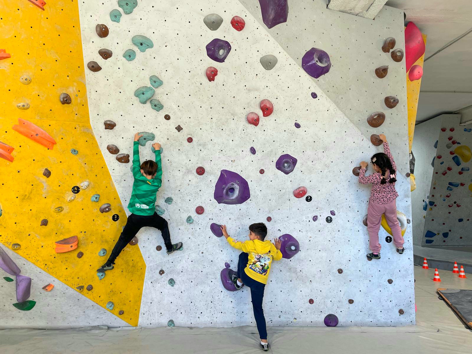 WhatsApp Image 2024-11-15 at 18.18.43