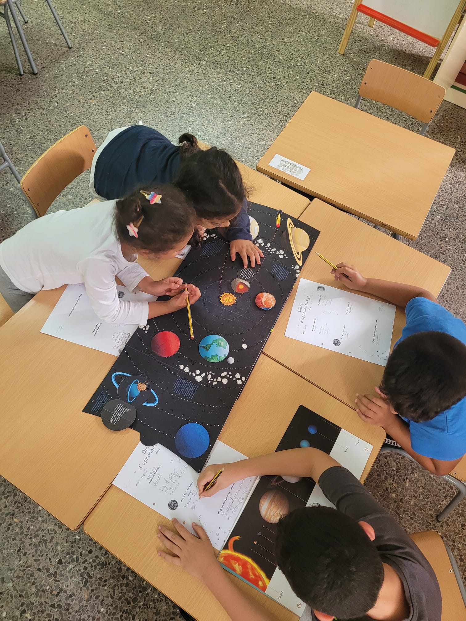 WhatsApp Image 2024-11-15 at 19.02.41 (3)