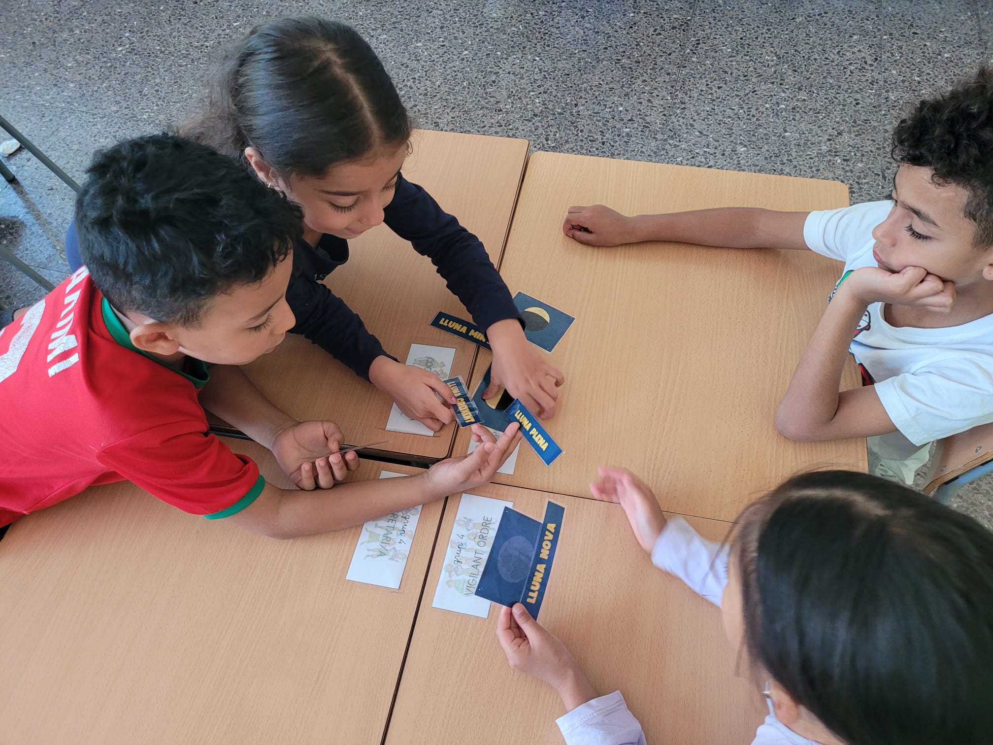 WhatsApp Image 2024-11-15 at 19.02.41