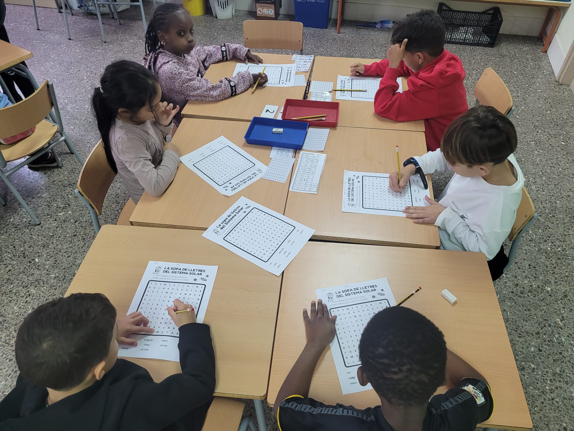 WhatsApp Image 2024-11-15 at 19.02.44 (2)