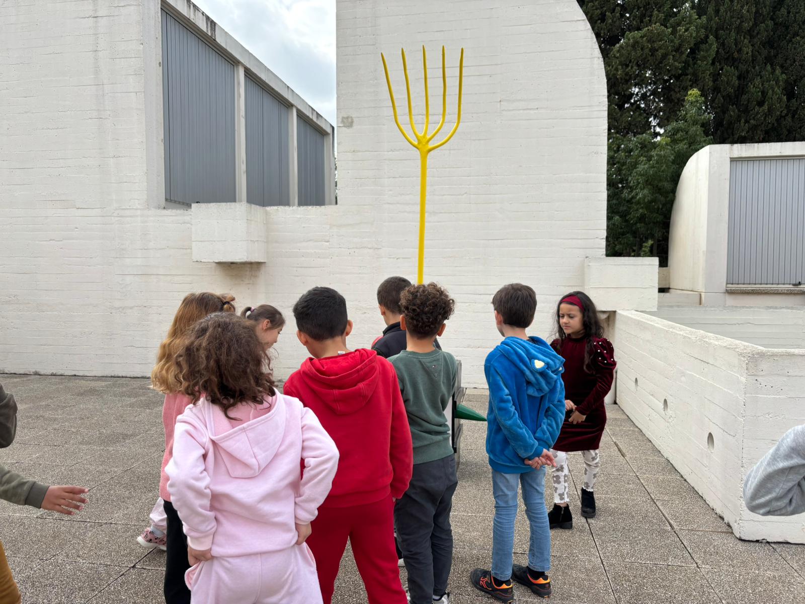 WhatsApp Image 2024-11-15 at 20.18.50