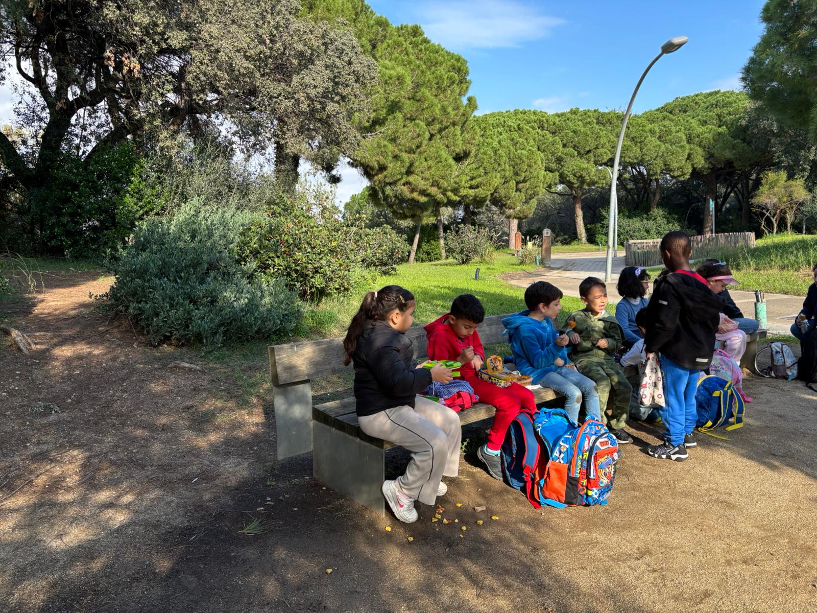 WhatsApp Image 2024-11-15 at 20.18.56