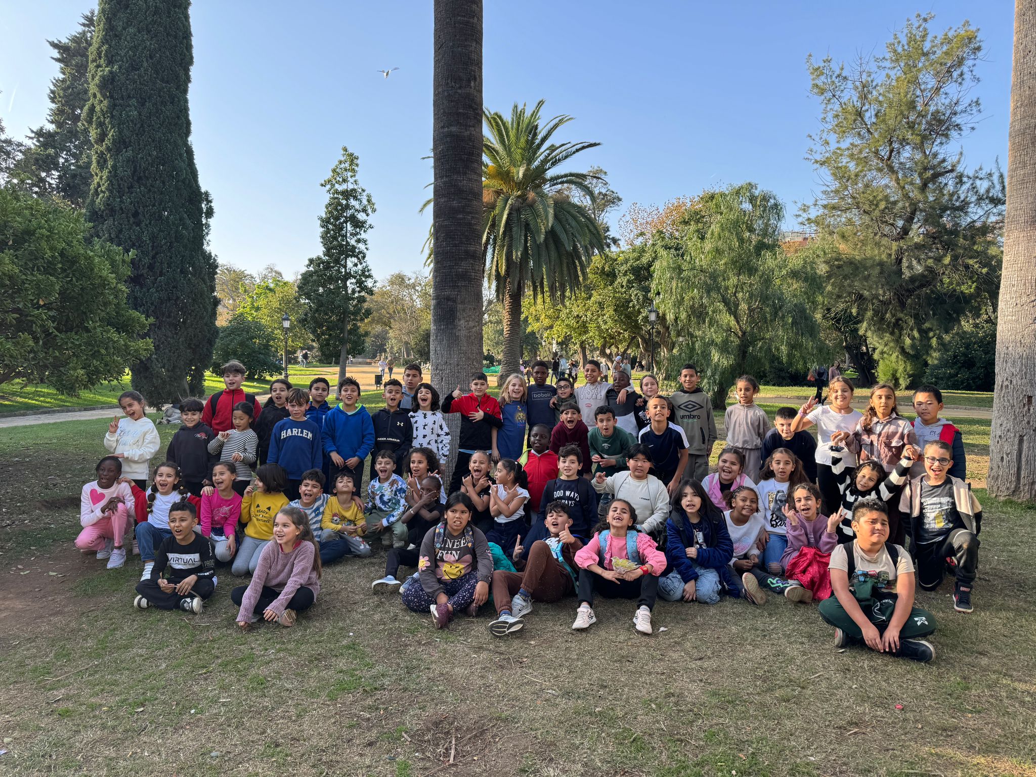 WhatsApp Image 2024-11-19 at 19.30.24