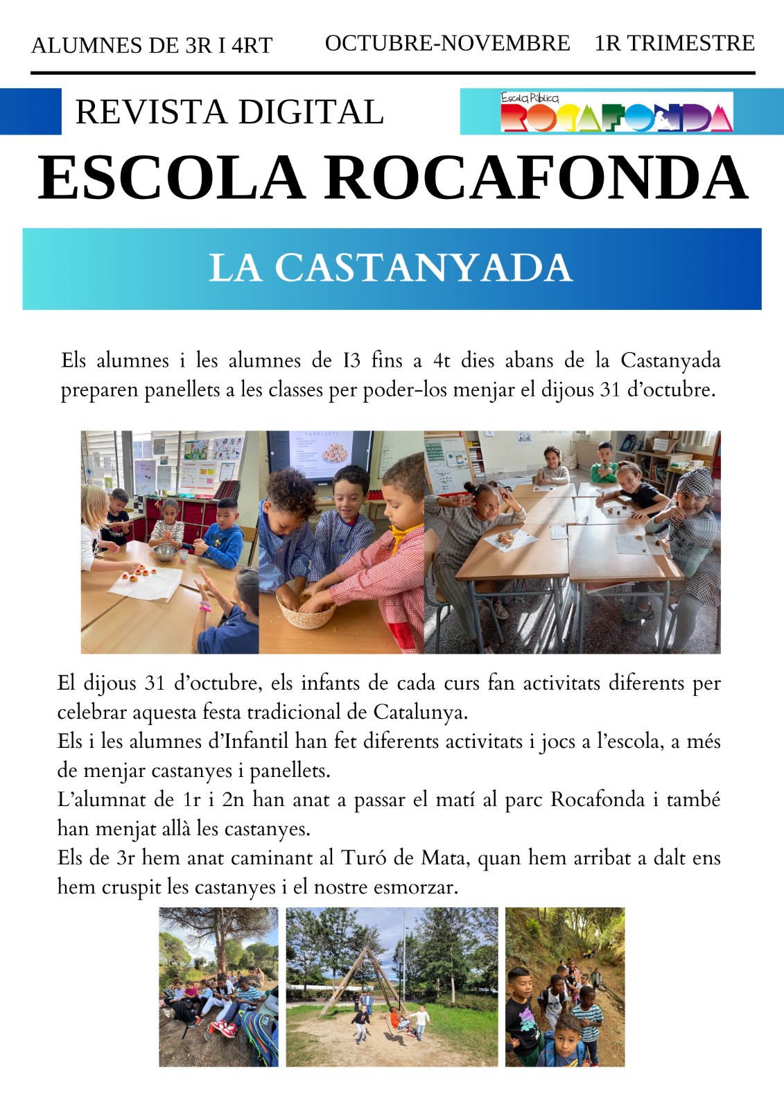 WhatsApp Image 2024-11-20 at 19.45.37