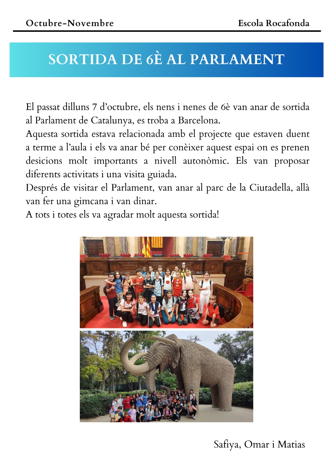 WhatsApp Image 2024-11-20 at 19.45.38