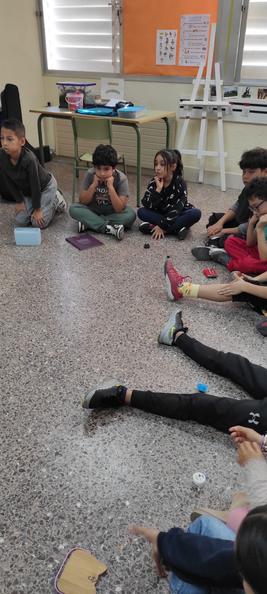 WhatsApp Image 2024-11-20 at 19.53.27