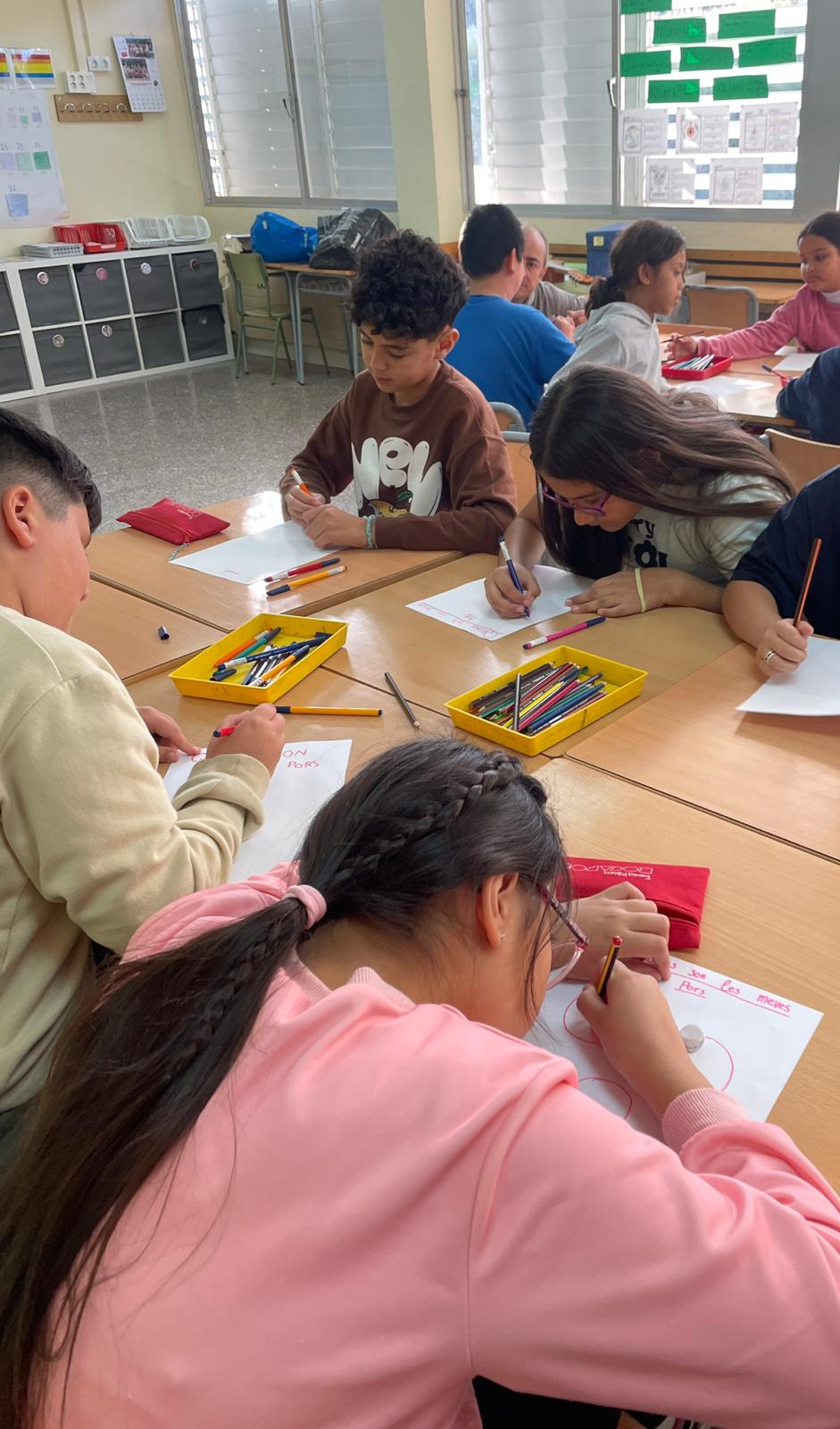 WhatsApp Image 2024-11-21 at 17.35.22