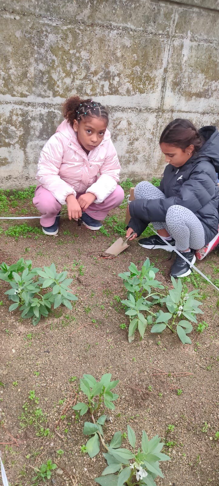 WhatsApp Image 2024-11-21 at 17.39.04