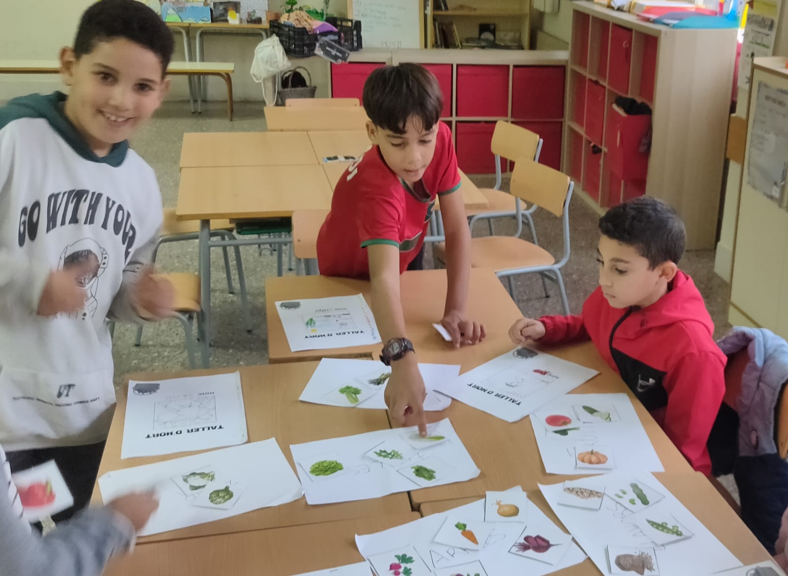 WhatsApp Image 2024-11-21 at 17.39.08