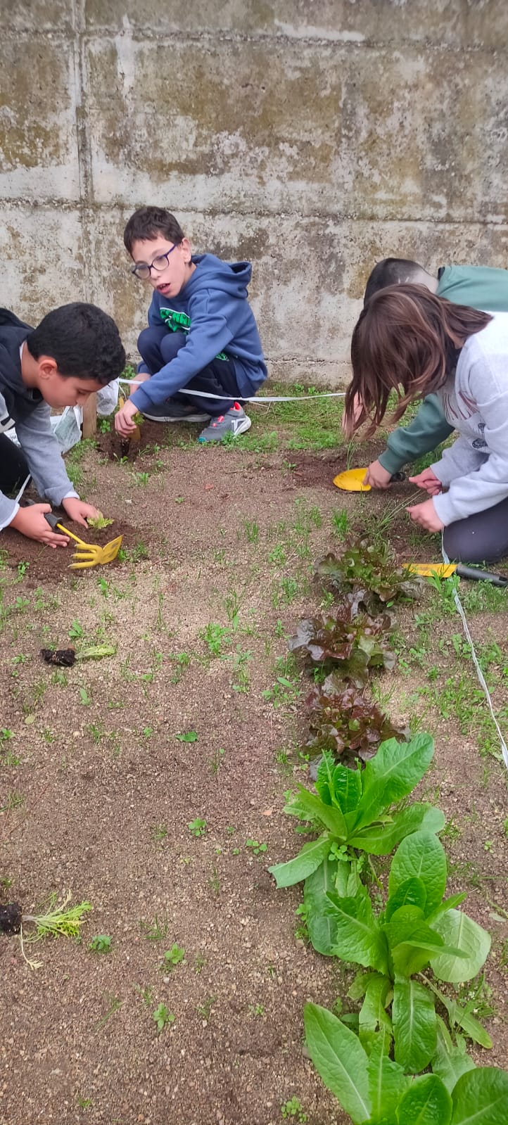 WhatsApp Image 2024-11-21 at 17.39.09 (1)