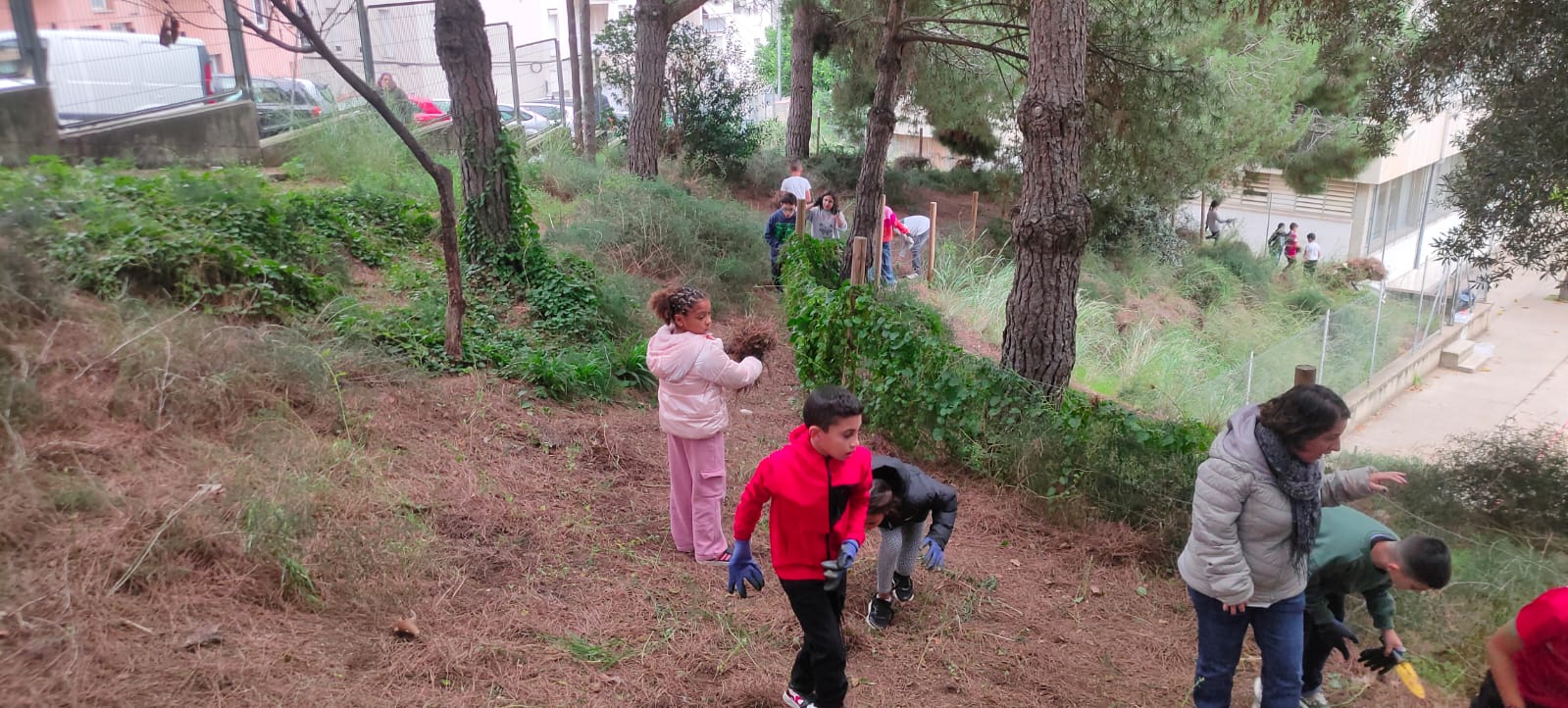 WhatsApp Image 2024-11-21 at 17.39.09 (2)