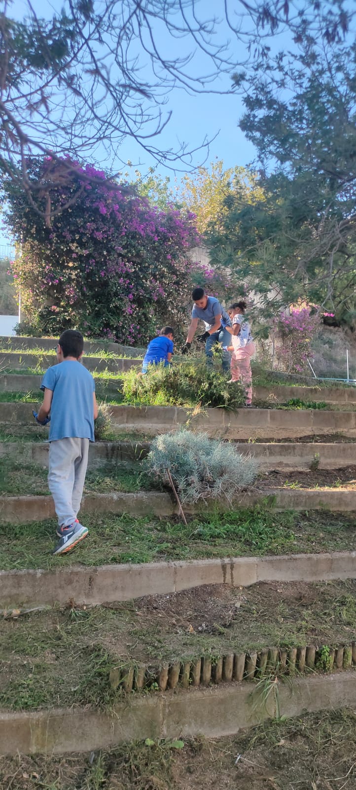 WhatsApp Image 2024-11-21 at 17.39.09