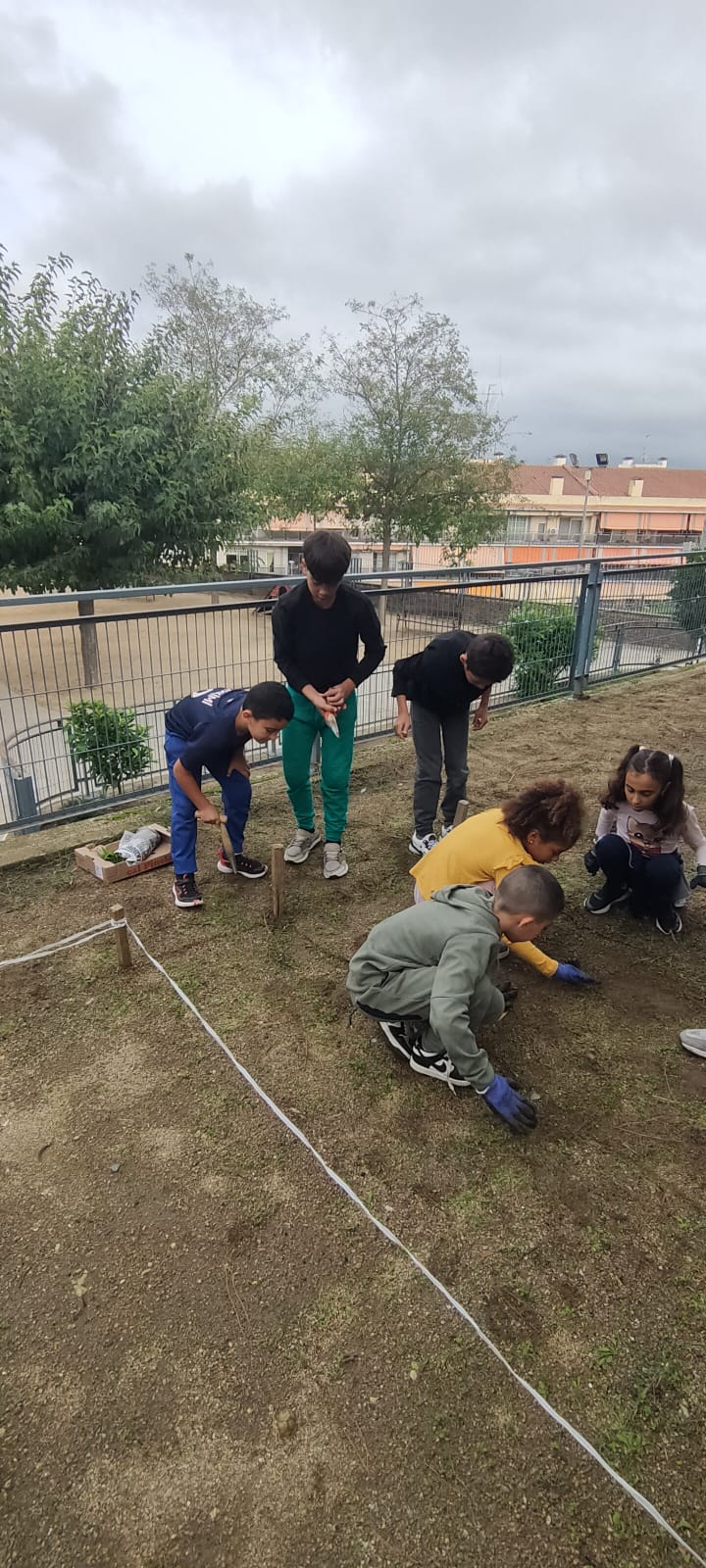 WhatsApp Image 2024-11-21 at 17.39.10 (1)