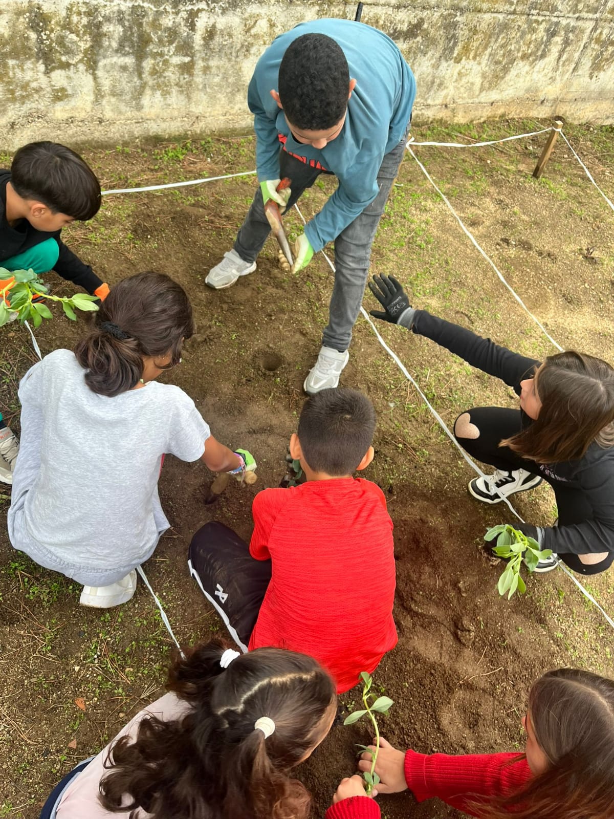 WhatsApp Image 2024-11-21 at 17.39.11