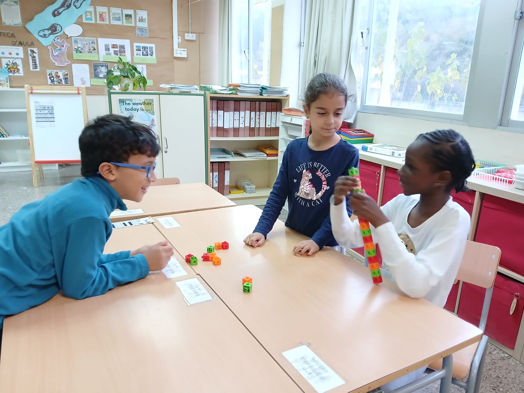 WhatsApp Image 2024-11-22 at 17.46.18