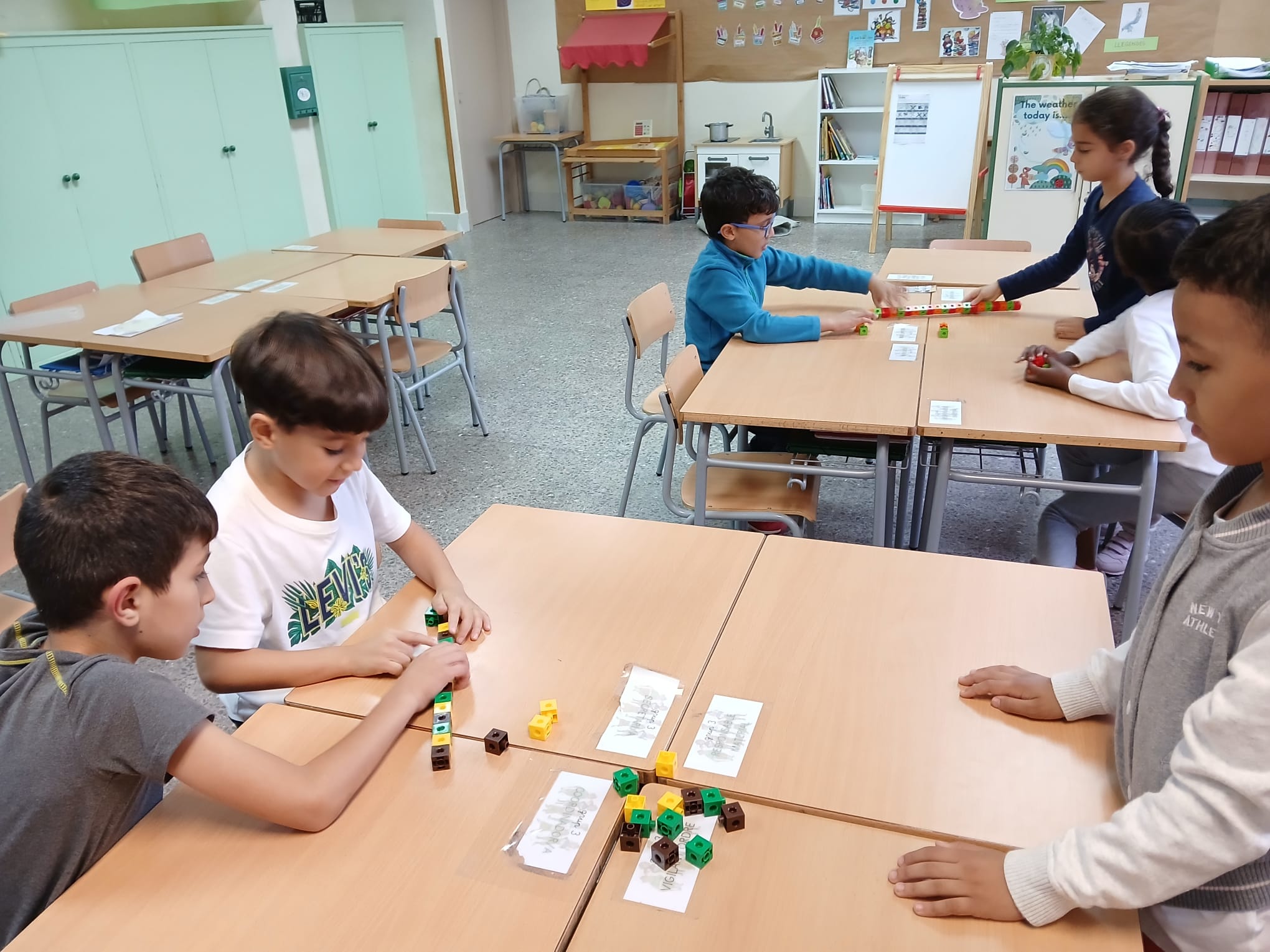 WhatsApp Image 2024-11-22 at 17.46.19