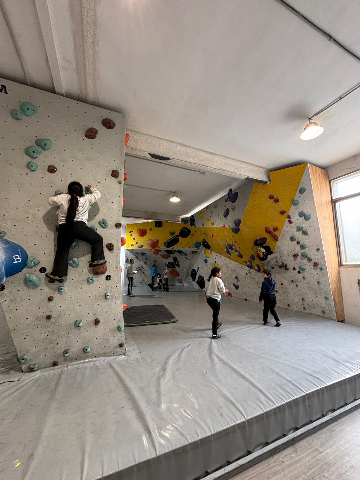 WhatsApp Image 2024-11-25 at 12.10.50