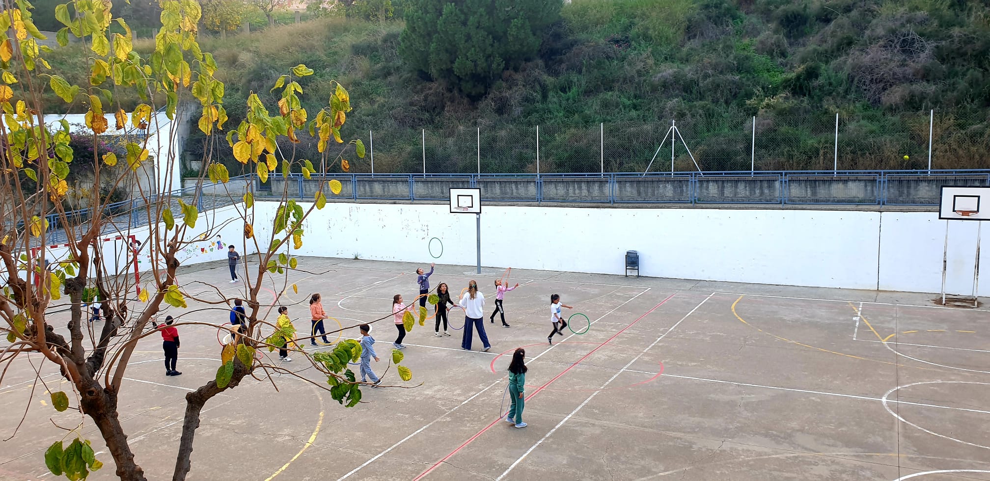 WhatsApp Image 2024-11-29 at 19.05.32