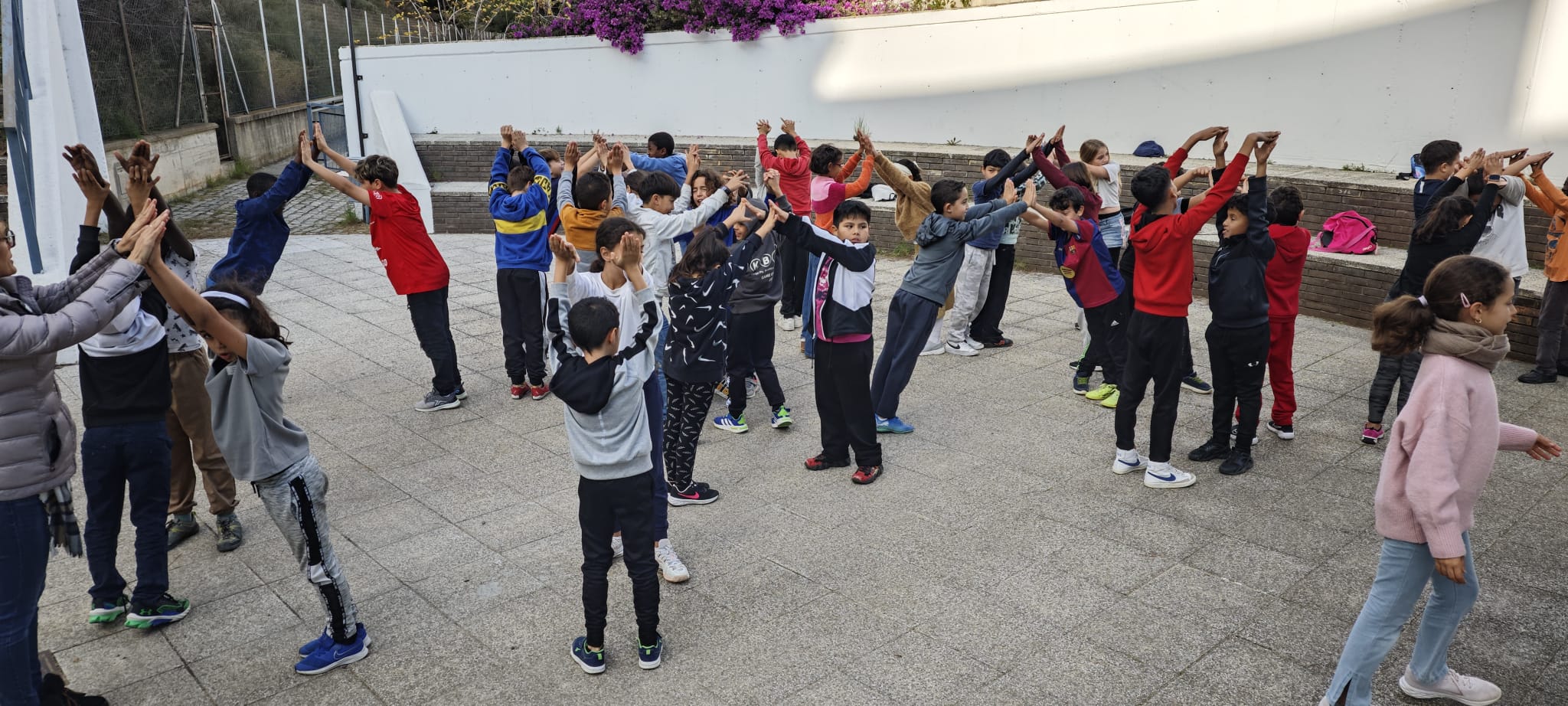 WhatsApp Image 2024-12-01 at 09.10.03